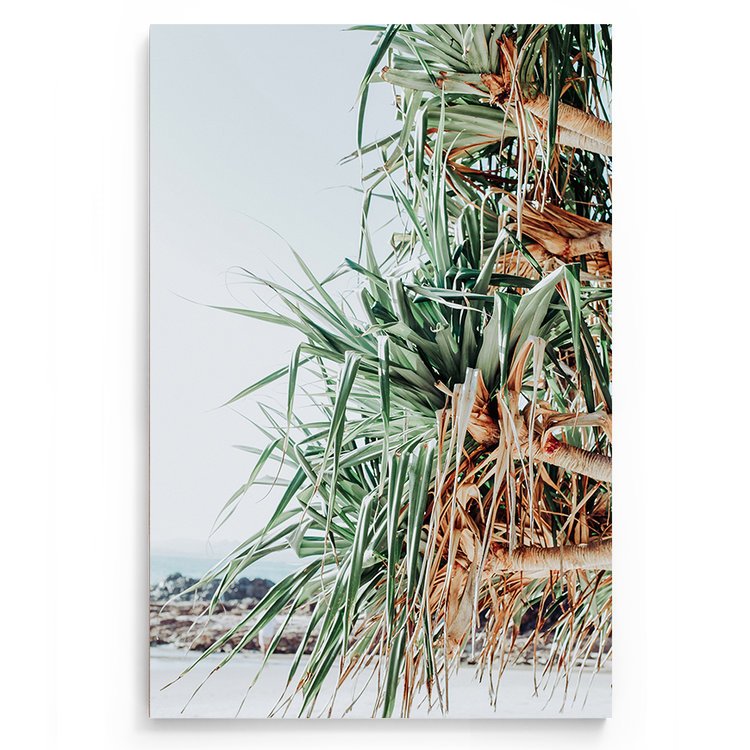 Pandanus_web+shadowbox.jpg