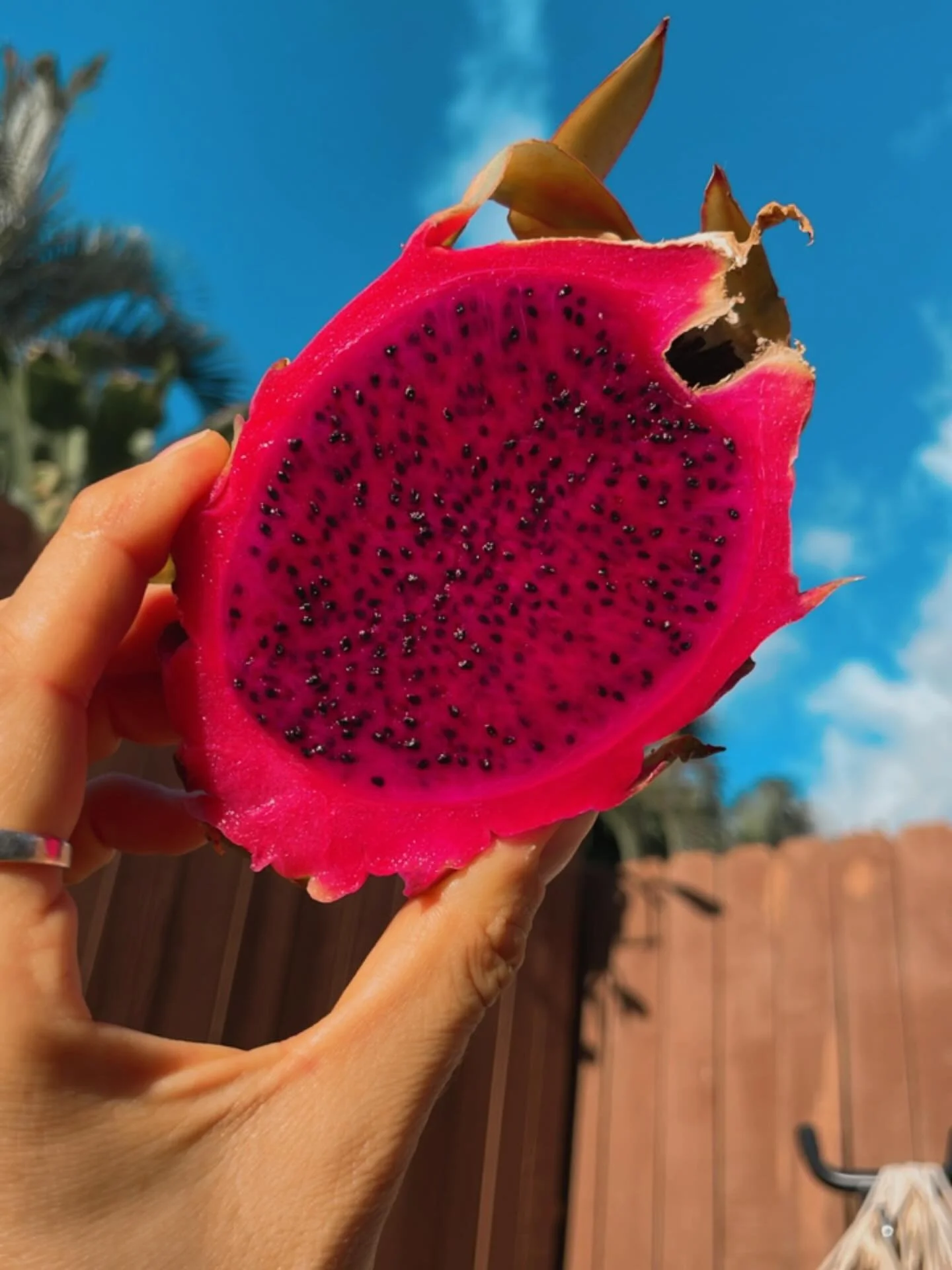 Dragon fruit, healthy and so pretty