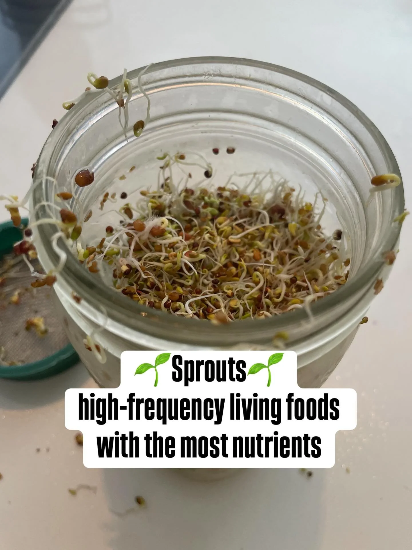 Sprouts &mdash;living, one of the most high-frequency, raw foods. 

&bull; Most nutrient-dense at this stage
&bull; Easy for the body to absorb and use
&bull; Rich in enzymes &rarr; supports digestion naturally
&bull; Supports cellular repair + gentl