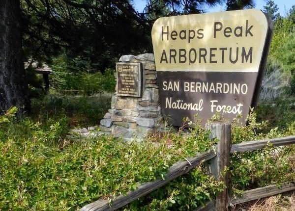 Sign indicating Heaps Peak Arboretum at San Bernardino National Forest, with a rustic wooden fence and lush green foliage in the background.