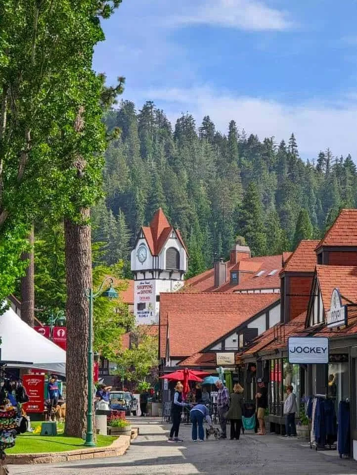 Main street in a small town or village with shops, trees, and outdoor cafes, surrounded by forested hills or mountains in the background.