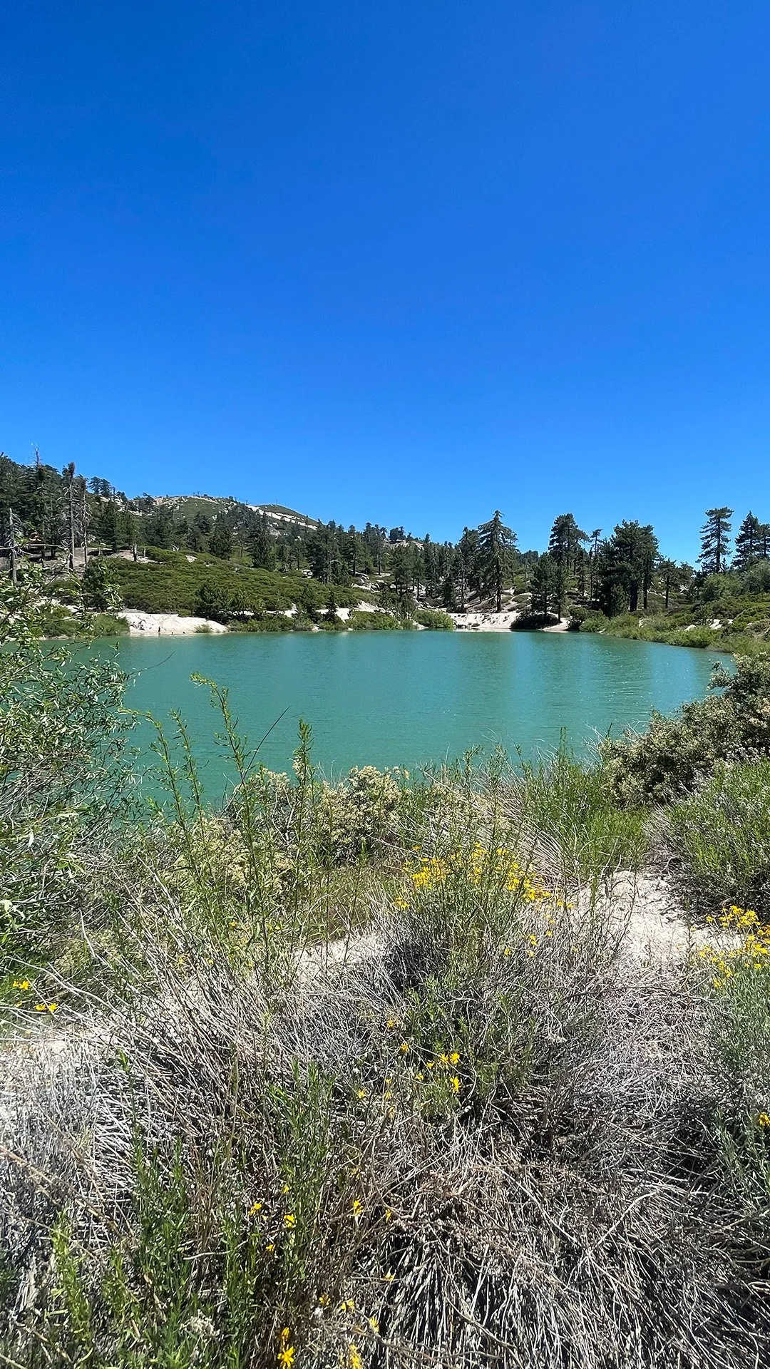 A serene mountain lake with turquoise water, surrounded by green bushes and trees under a clear blue sky.
