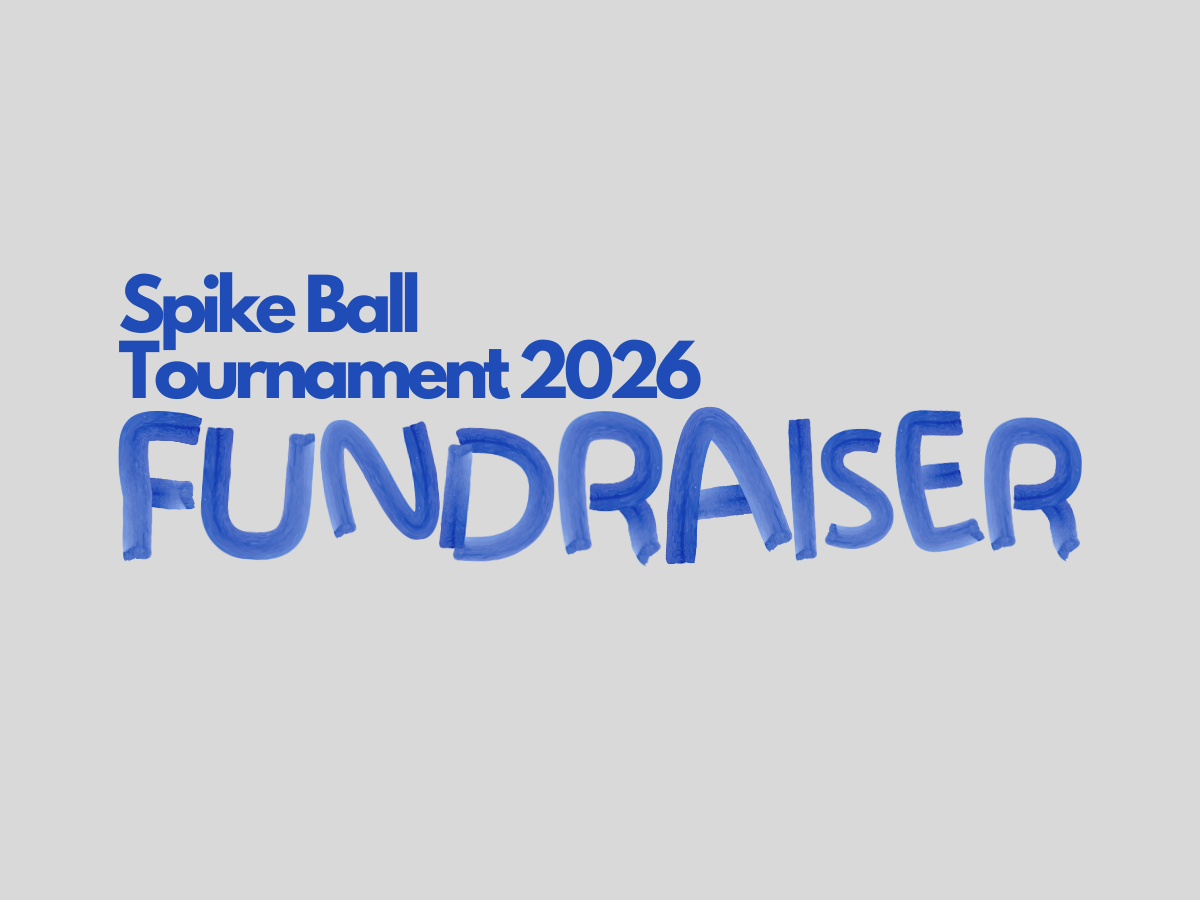 Spike Ball Fundraiser