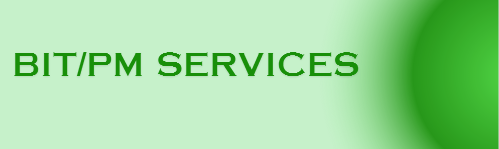 BIT inspections — Your Site Title