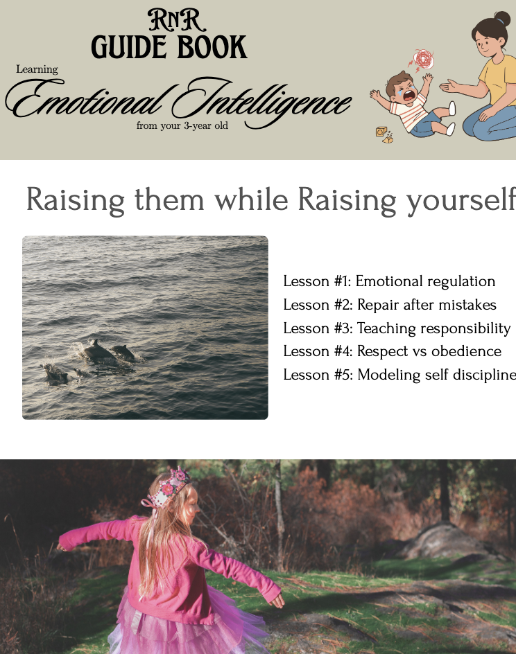 Emotional Intelligence (PREORDER)
