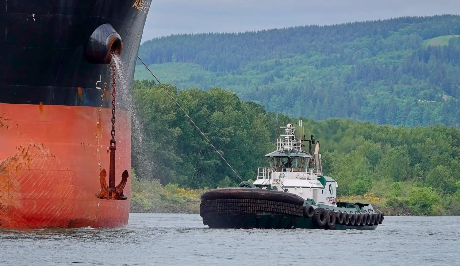 Foss Tug:, Carolyn Dorothy