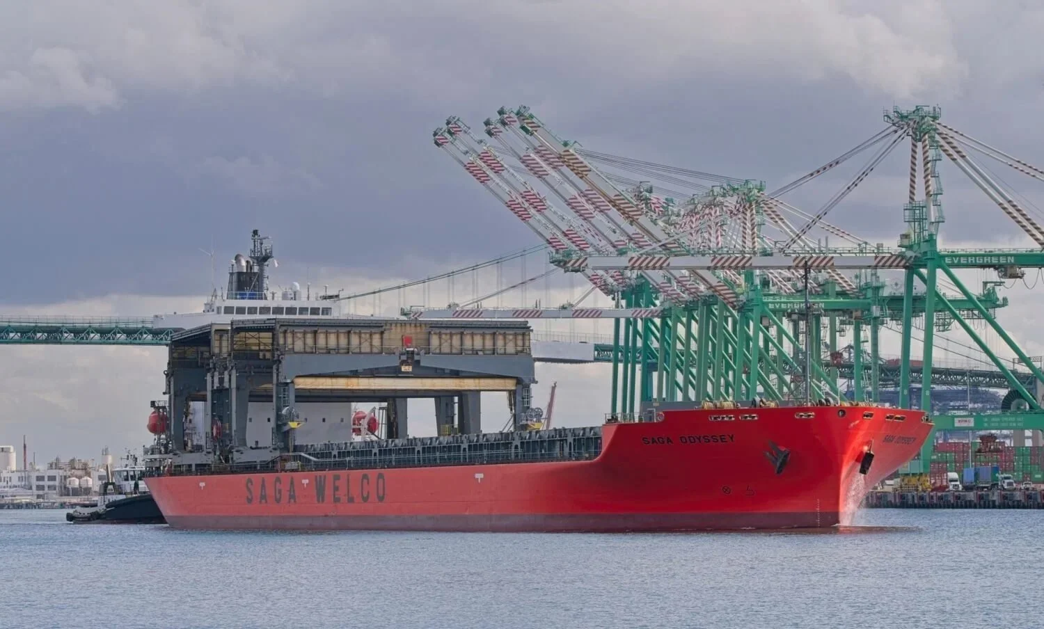 Saga Odyssey at the Port of Los Angeles