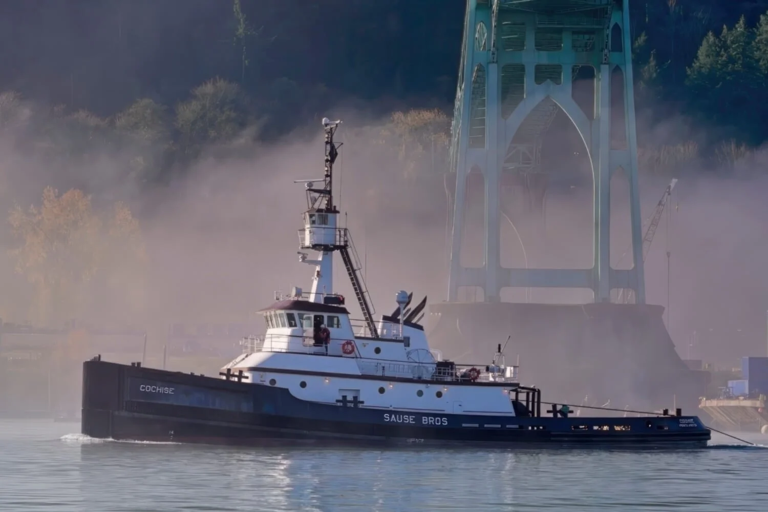 Misty arrival