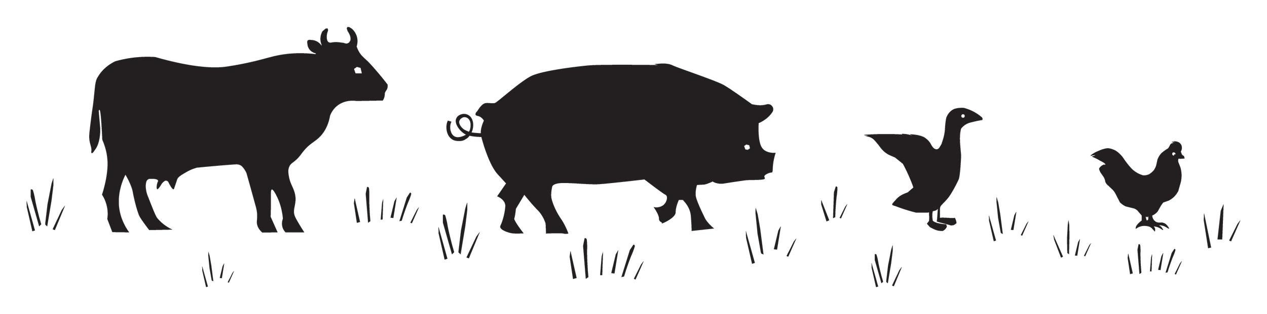 Full Animal Illustration.png