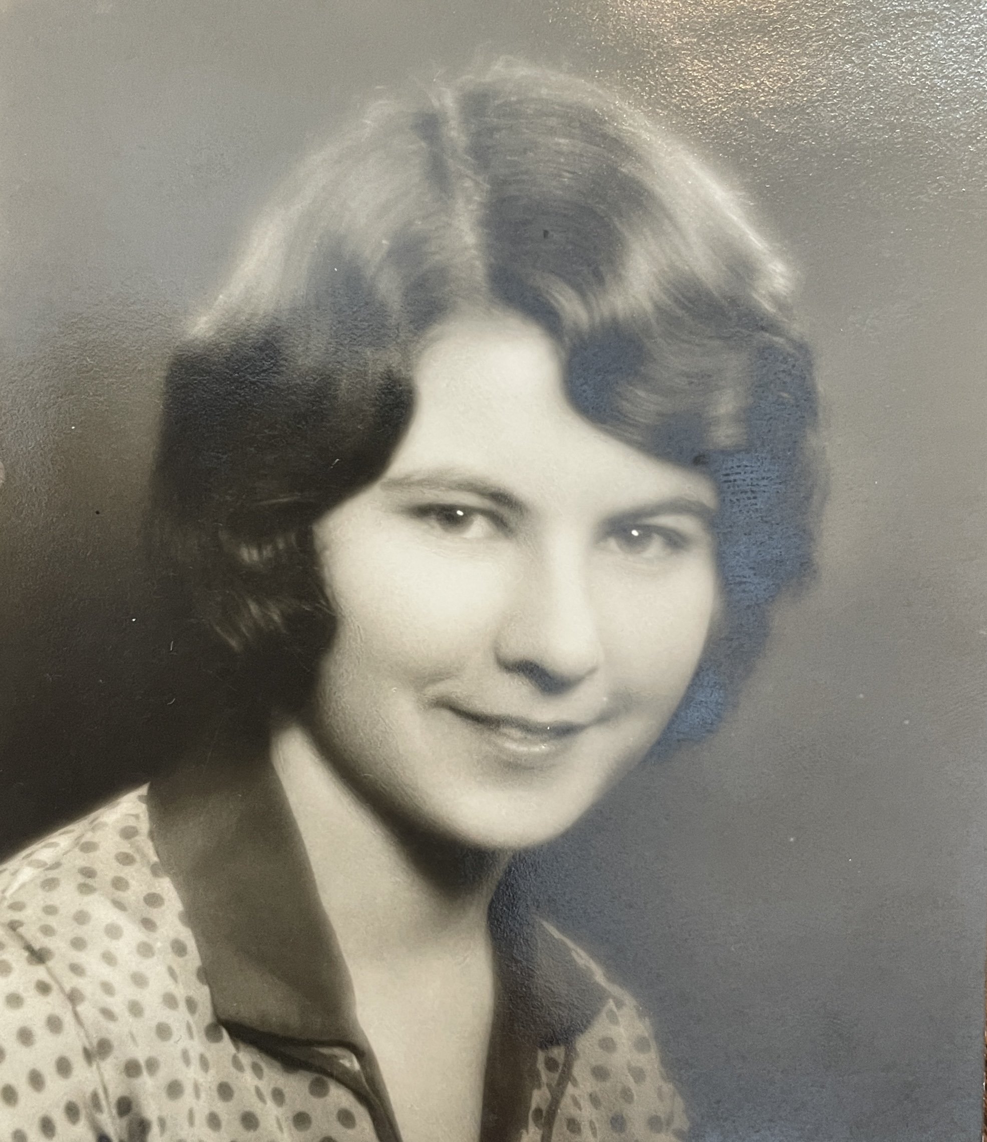 Exploring the History of Hollywood High School - the Traughber Family’s Alma Mater