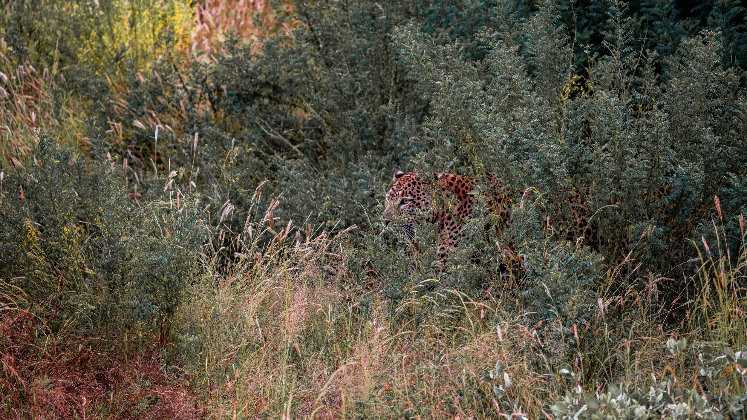 ZUL01693-2.jpg