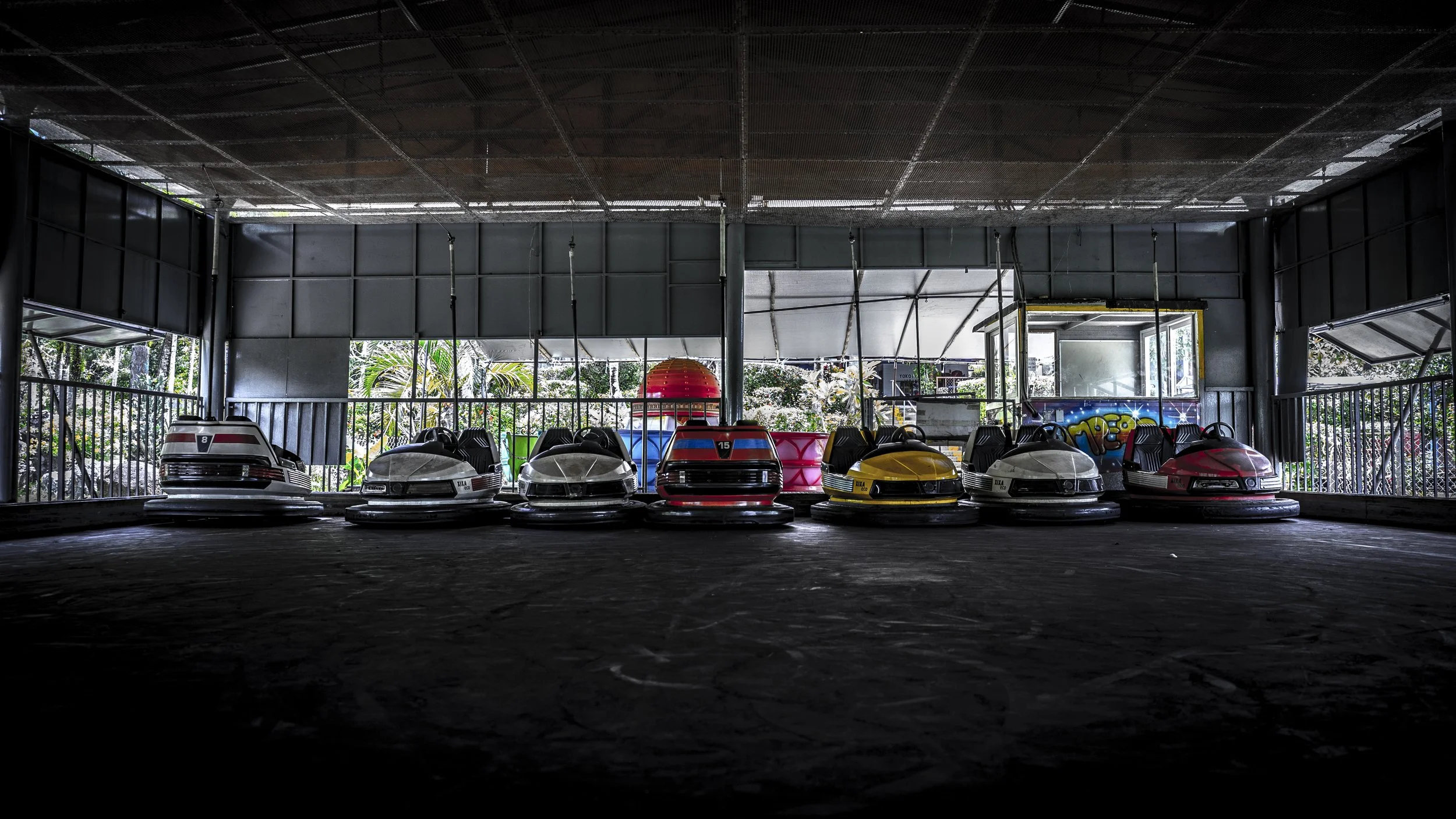 bumbercars.jpg