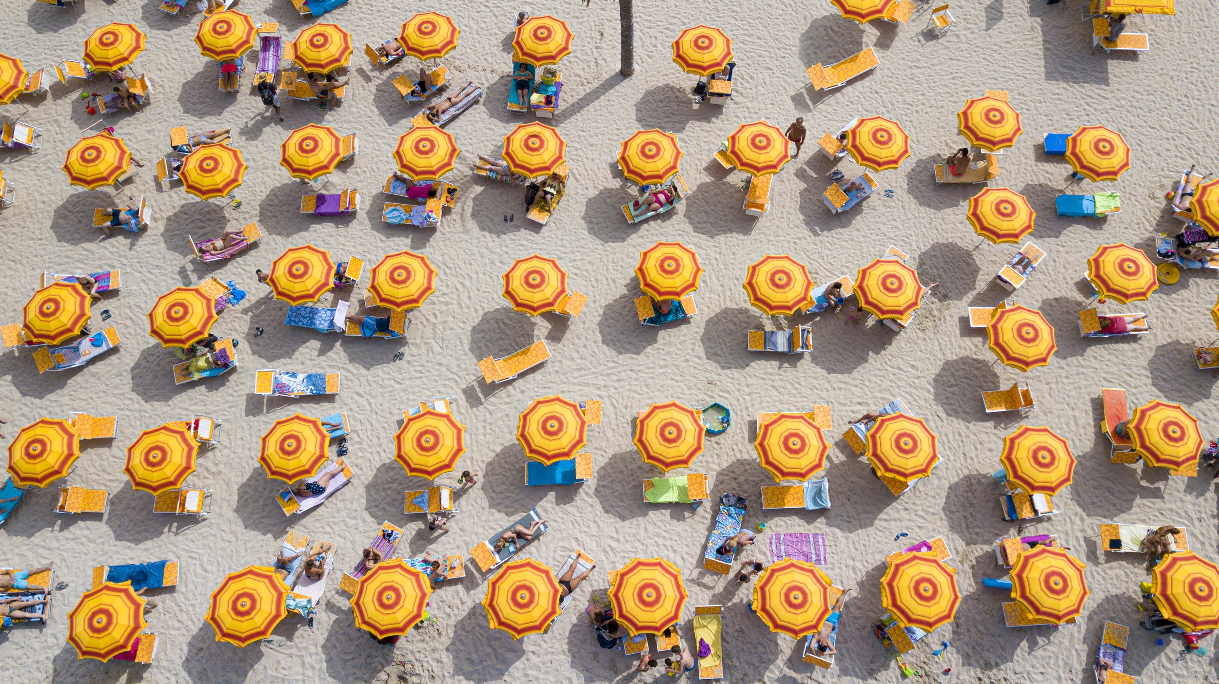 DJI_0039.jpg