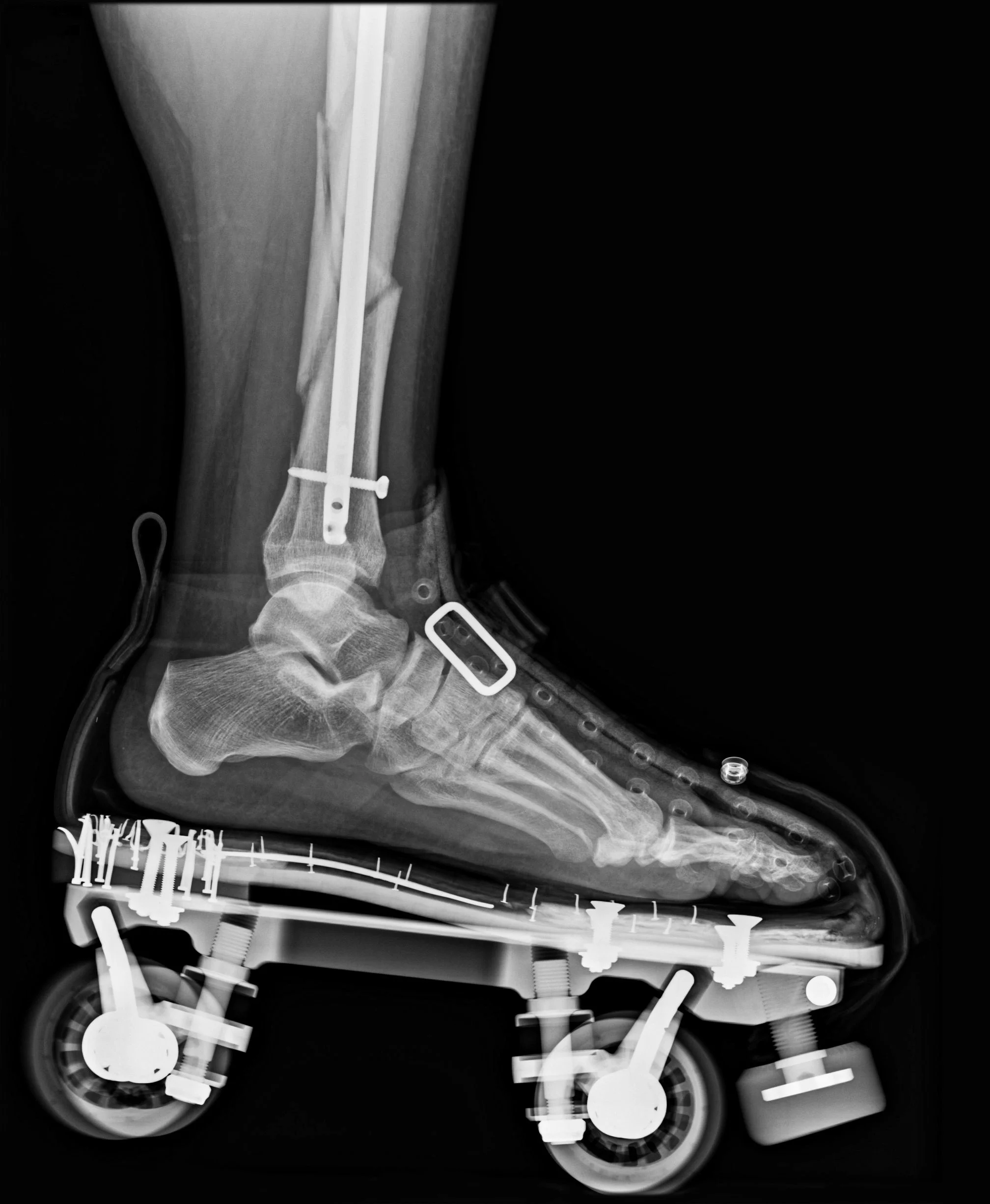 skateray_FINAL.jpg