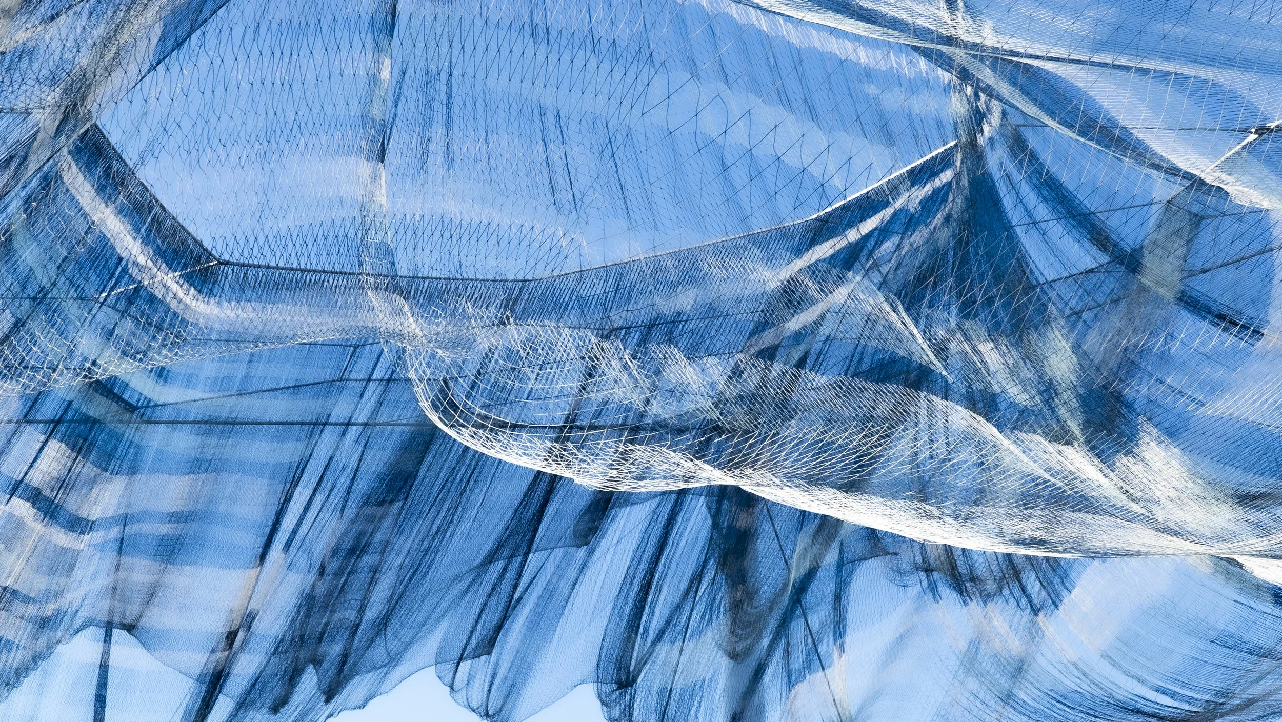 SkyNet