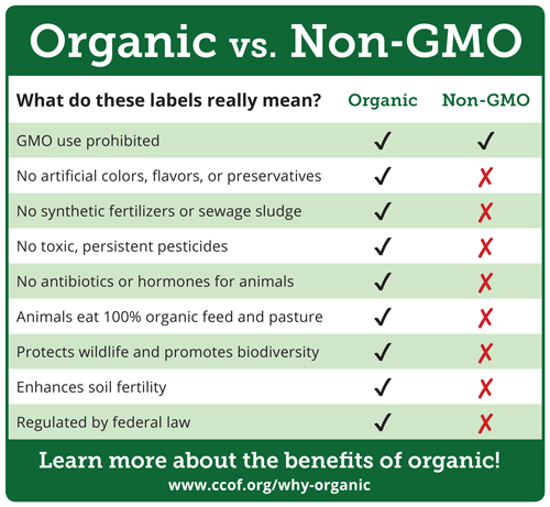 The Difference Between GMOs & Non-GMOs — We specialize in fairtrade &  organic cotton bags, apparel & accessories