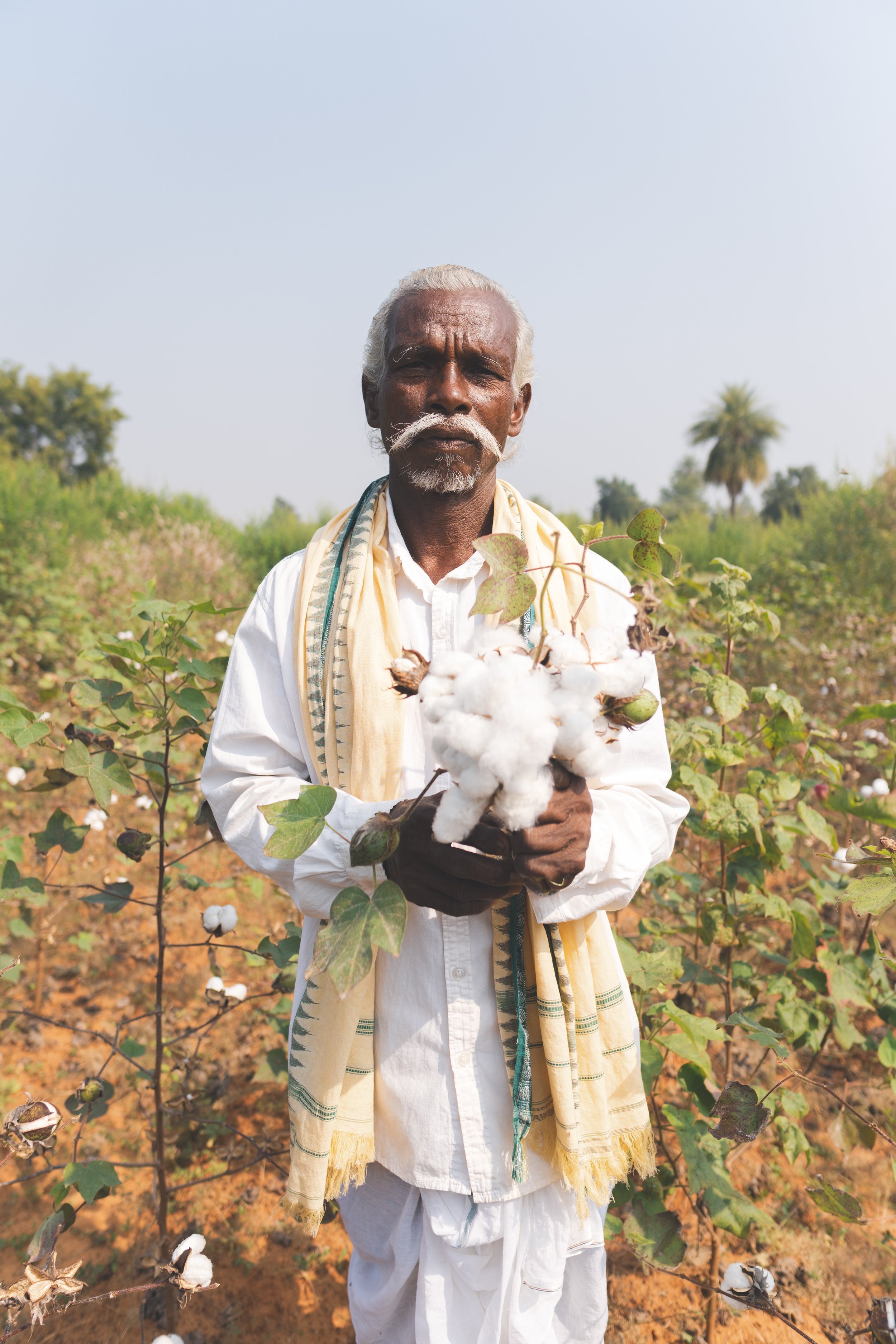 Organic Cotton Farmer holding cotton (Copy)