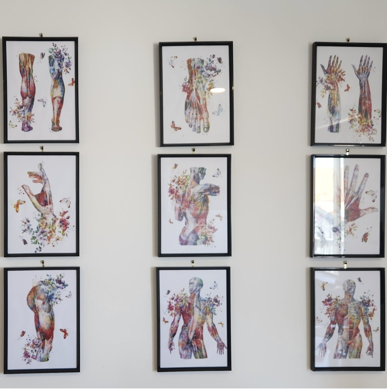 Gallery wall with nine framed artworks depicting colorful human anatomy and silhouette illustrations with floral and butterfly details.