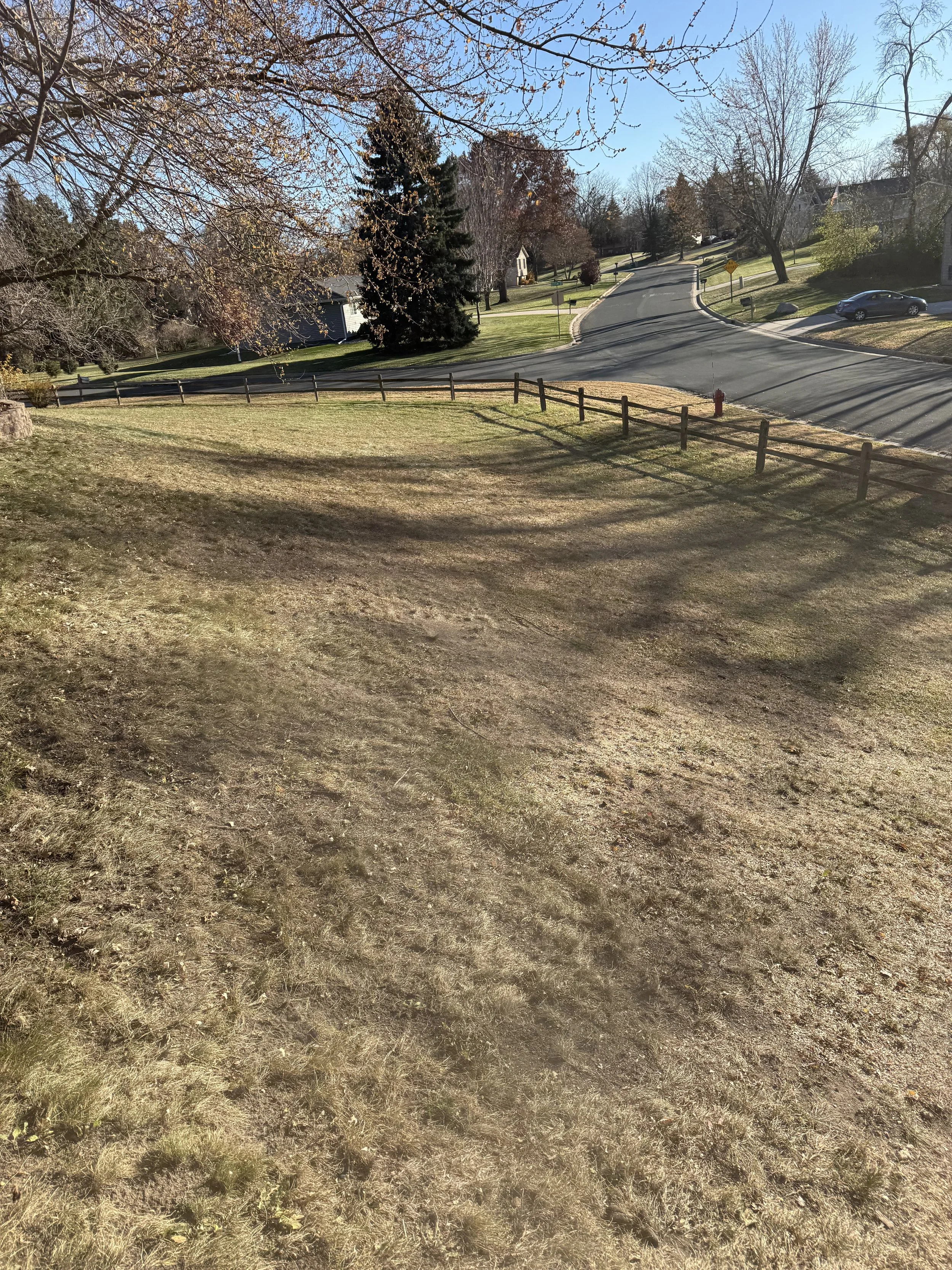 Leaf Removal In Prior Lake MnN by Green Gorilla Lawn Care