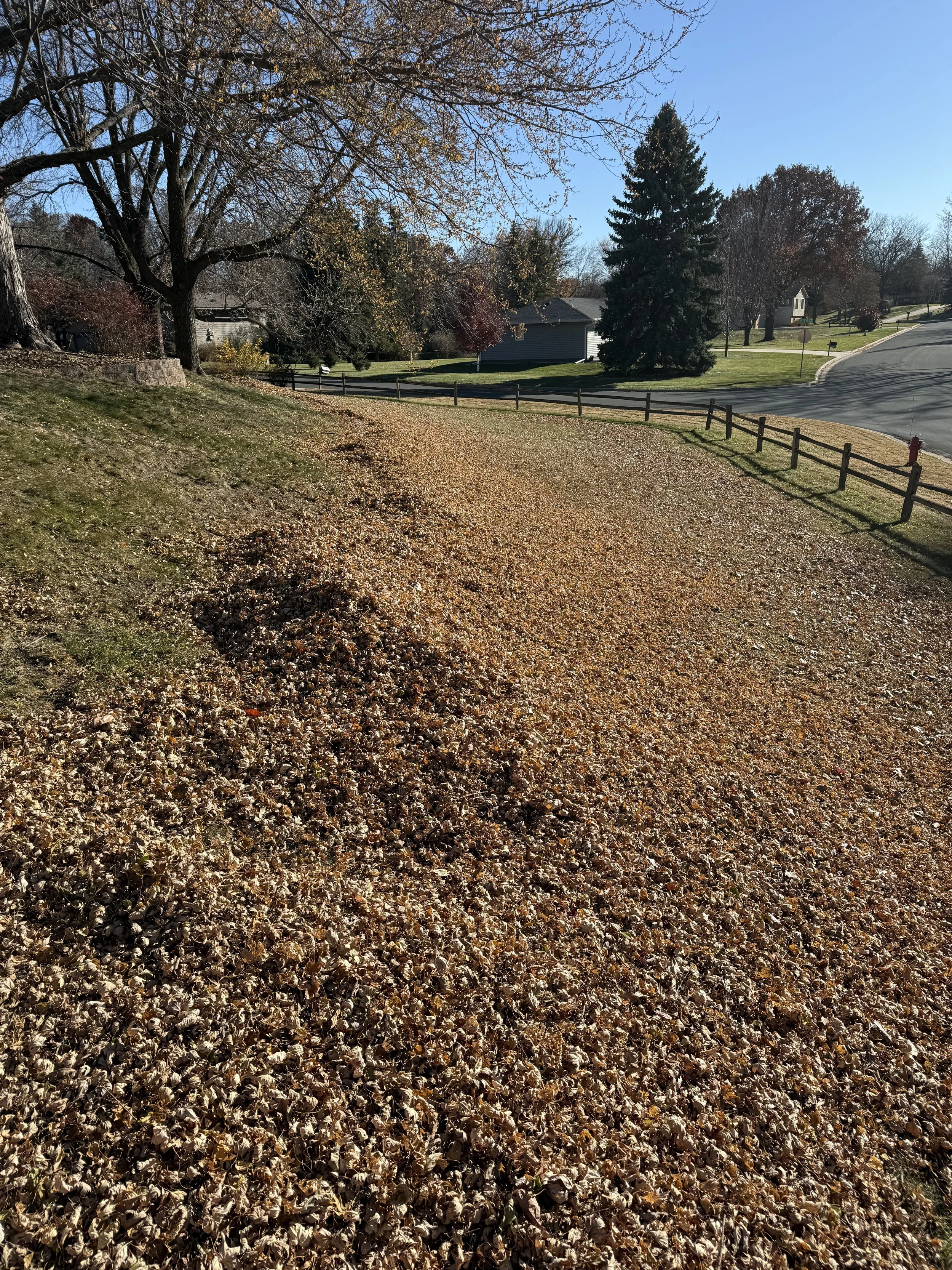 Leaf Removal Service In Savage MN by Green Gorilla Lawn Care