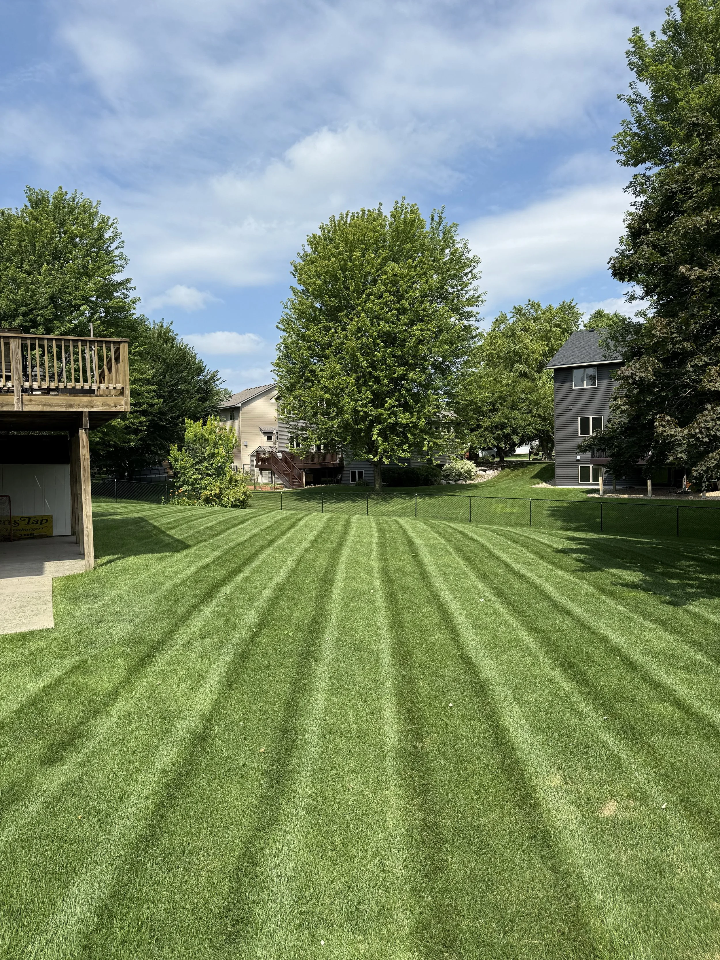 A well-maintained backyard lawn with freshly mowed grass and striped pattern, surrounded by trees and houses in the background, under a partly cloudy sky.