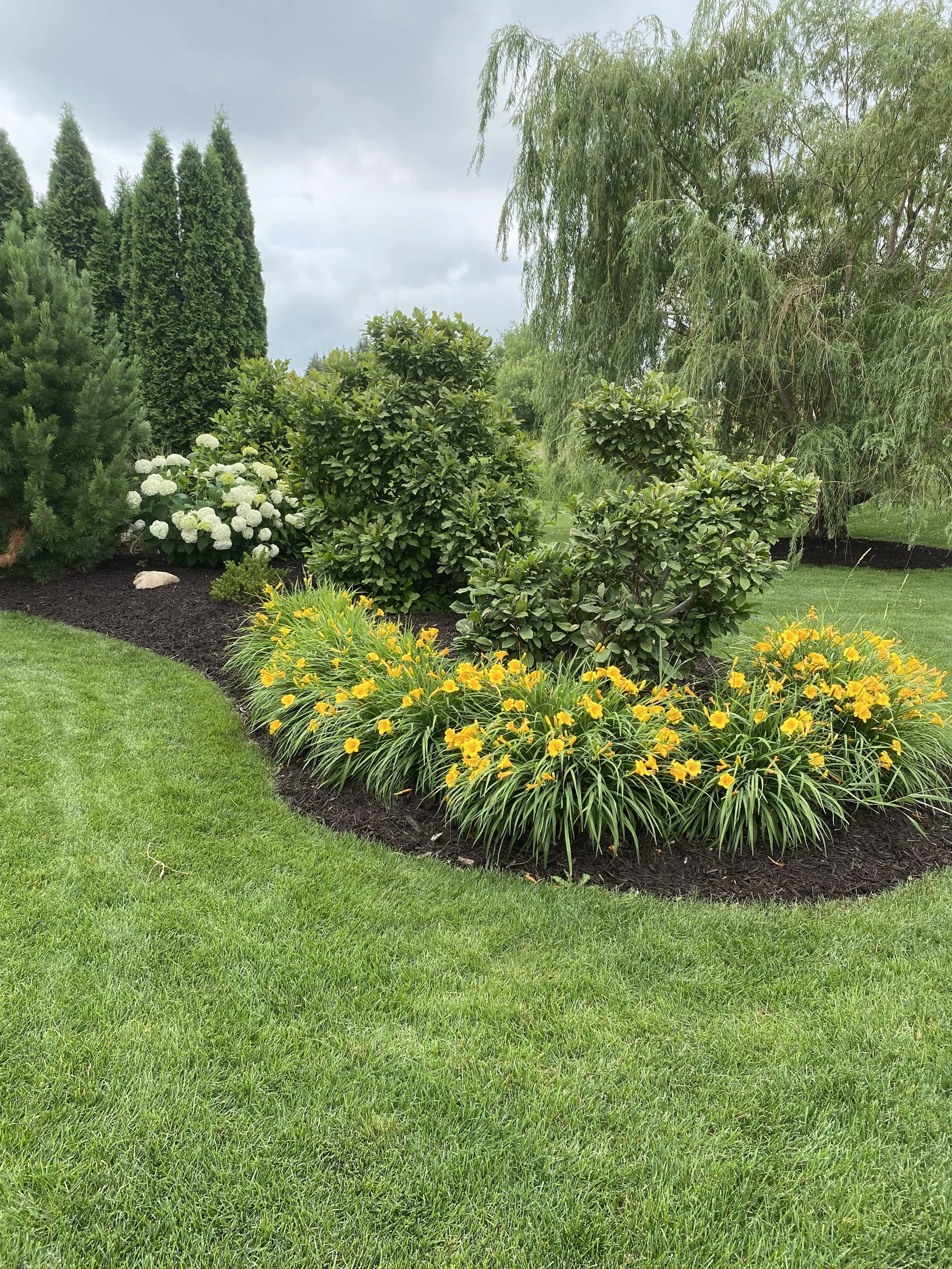 Landscape services in Prior Lake MN by green gorilla lawn care