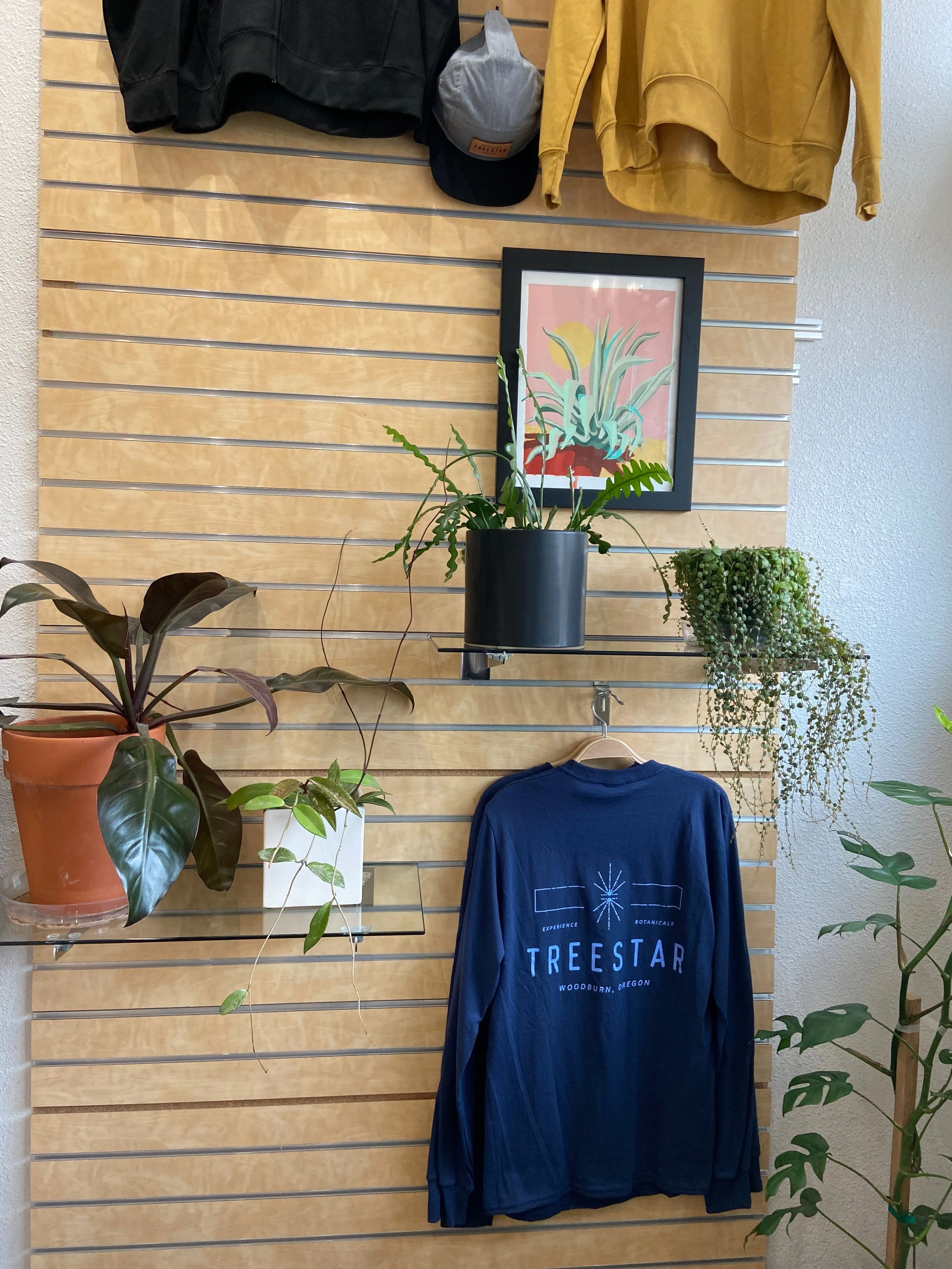 TREESTAR PLANTS - 3 of 28.jpeg