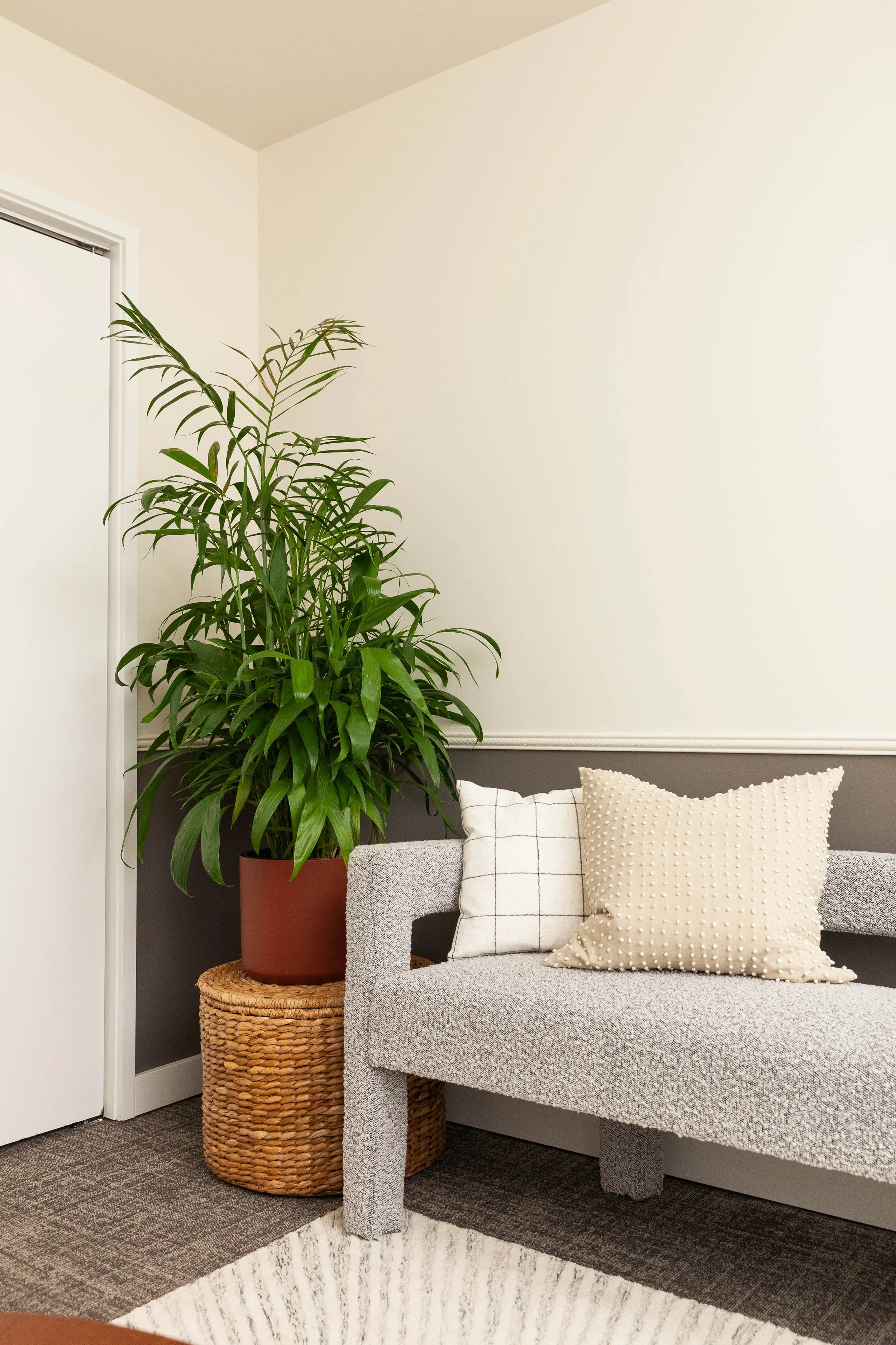 The Best Indoor Plants for Low Light Homes