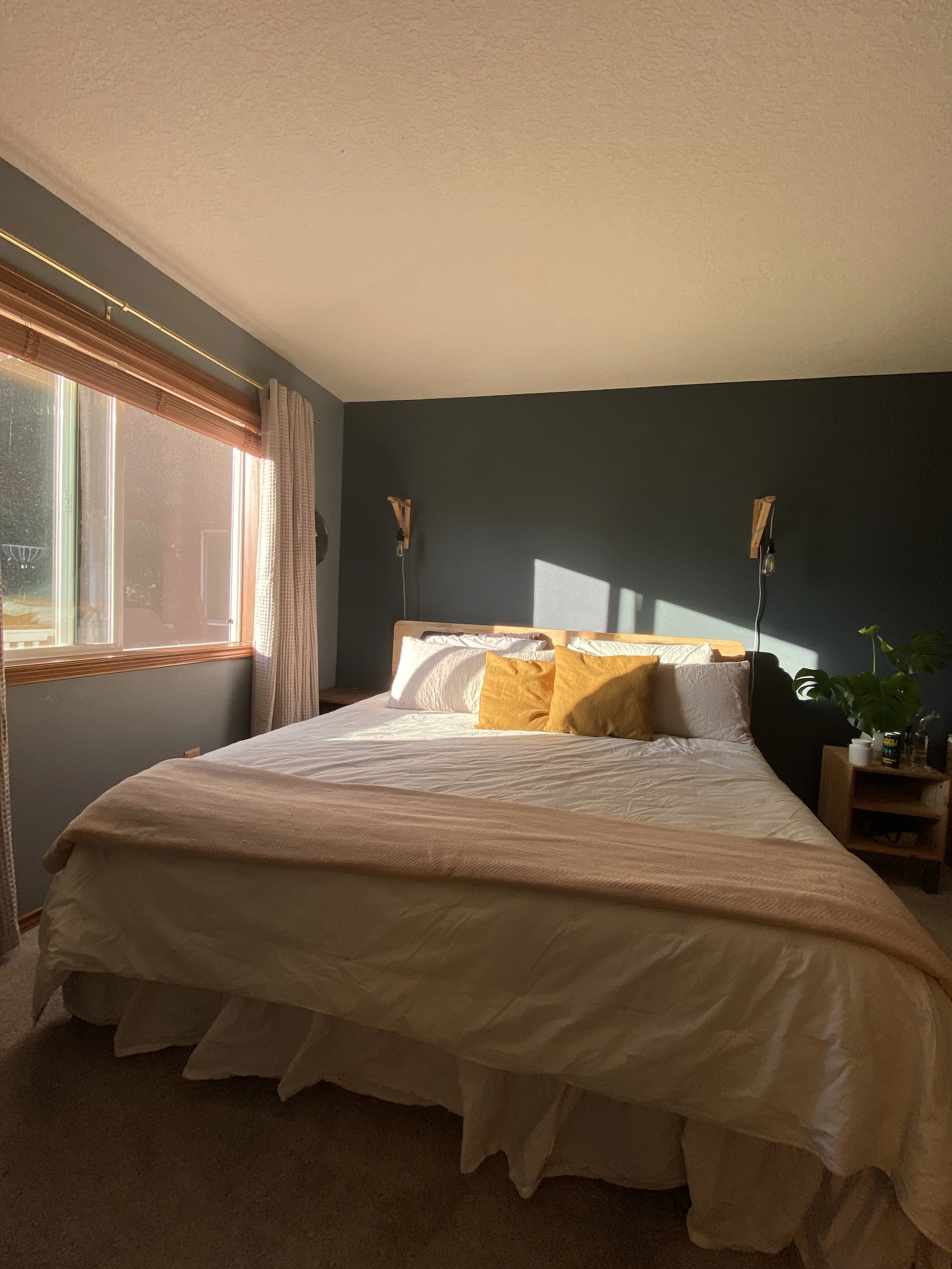 The Best Plants for Bedrooms