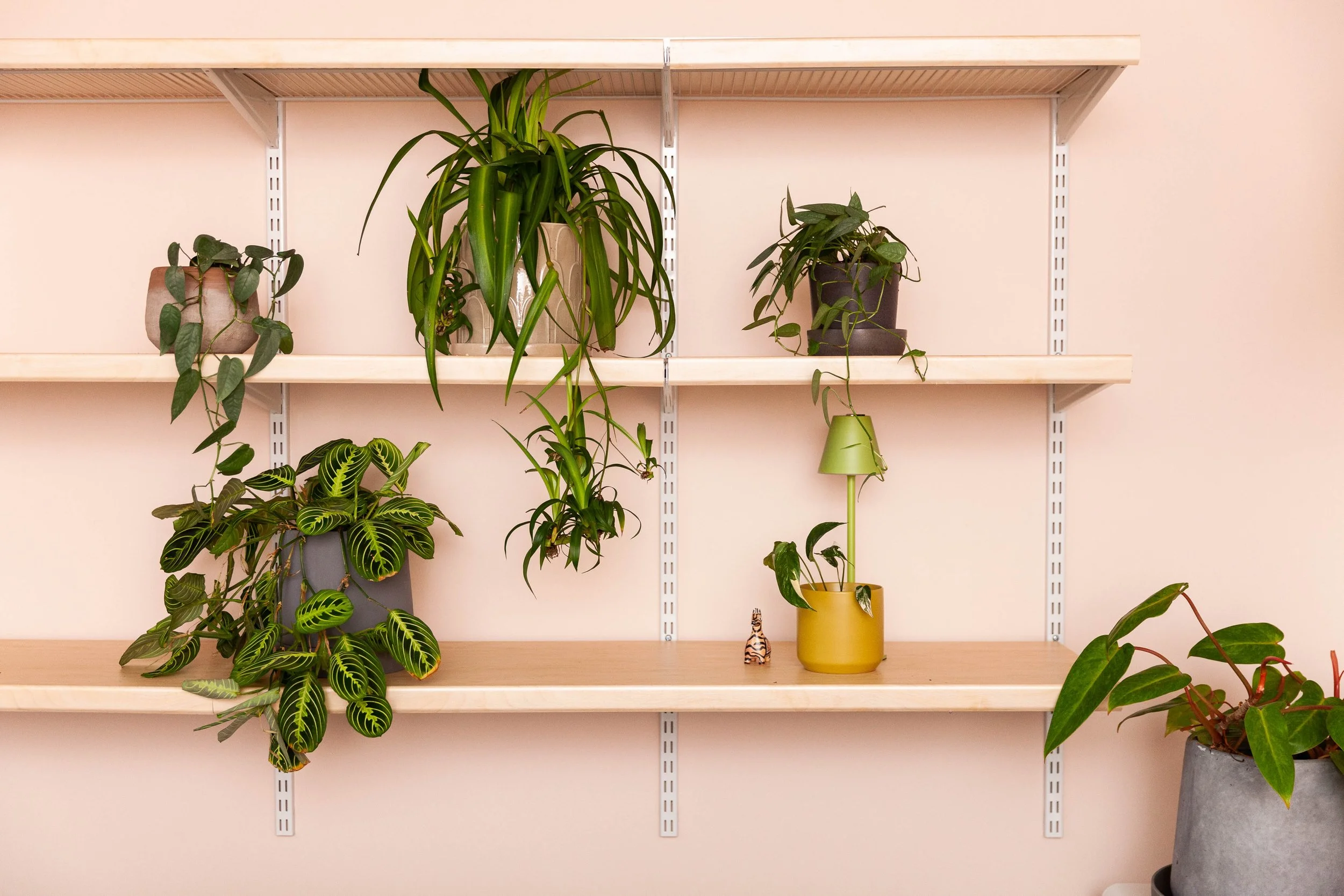 How to Choose Colors for Interior Design (Without Overthinking It)