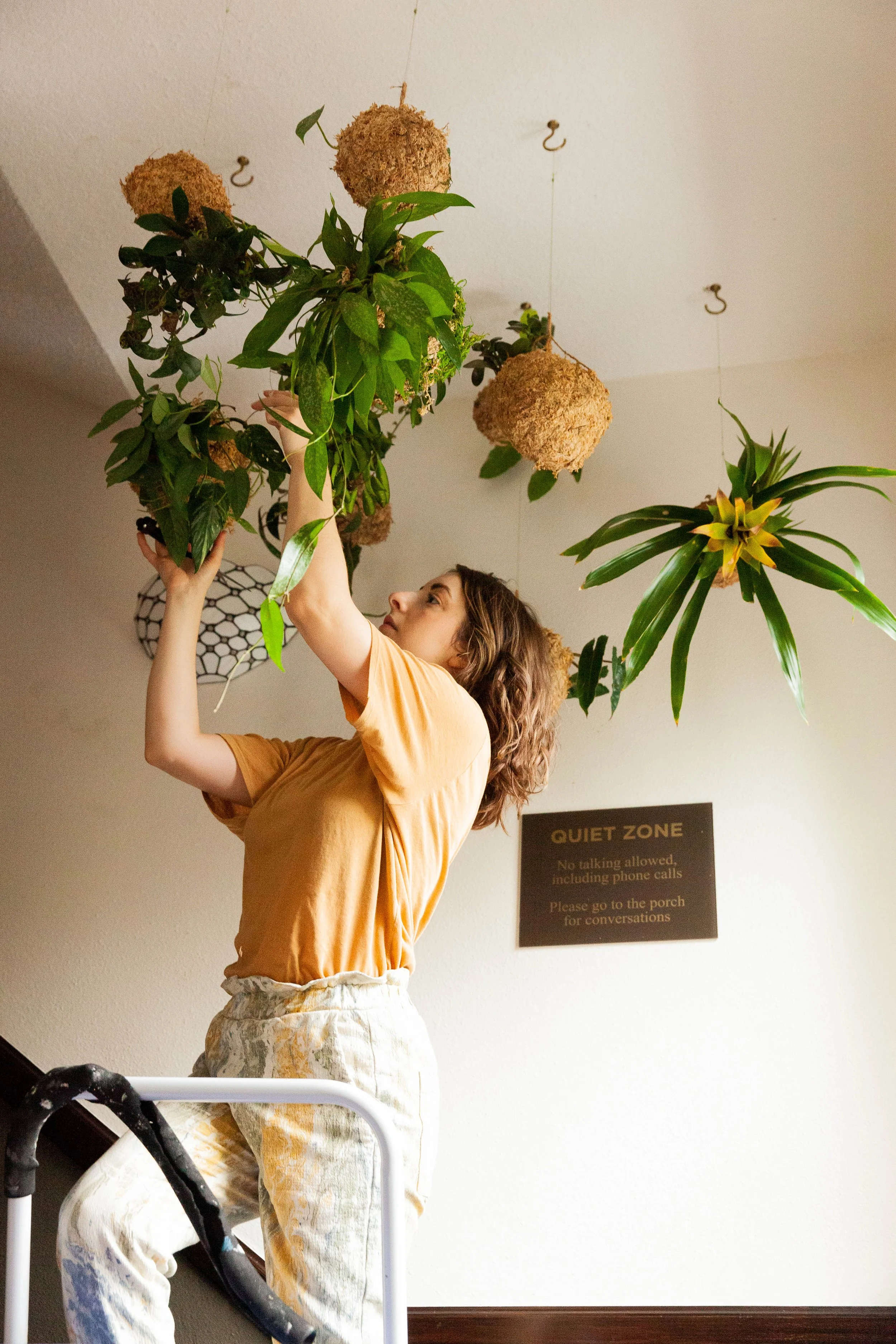 biophilic design services in therapy office, portland 