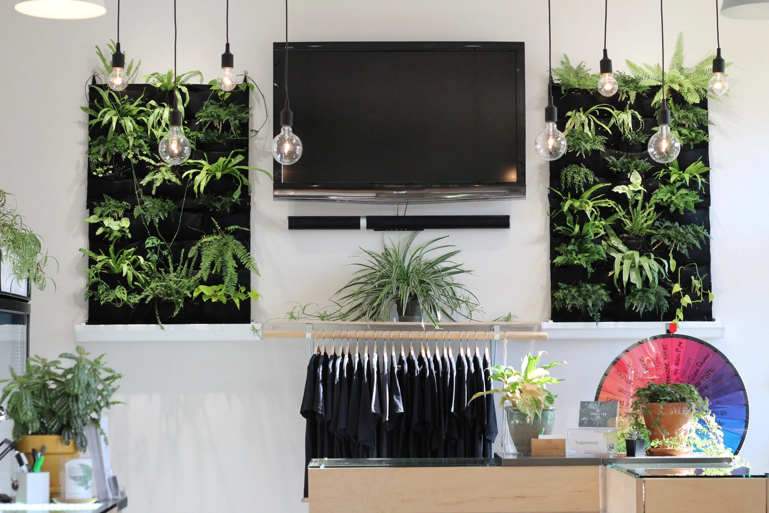 Custom living wall design in Woodburns only dispensary