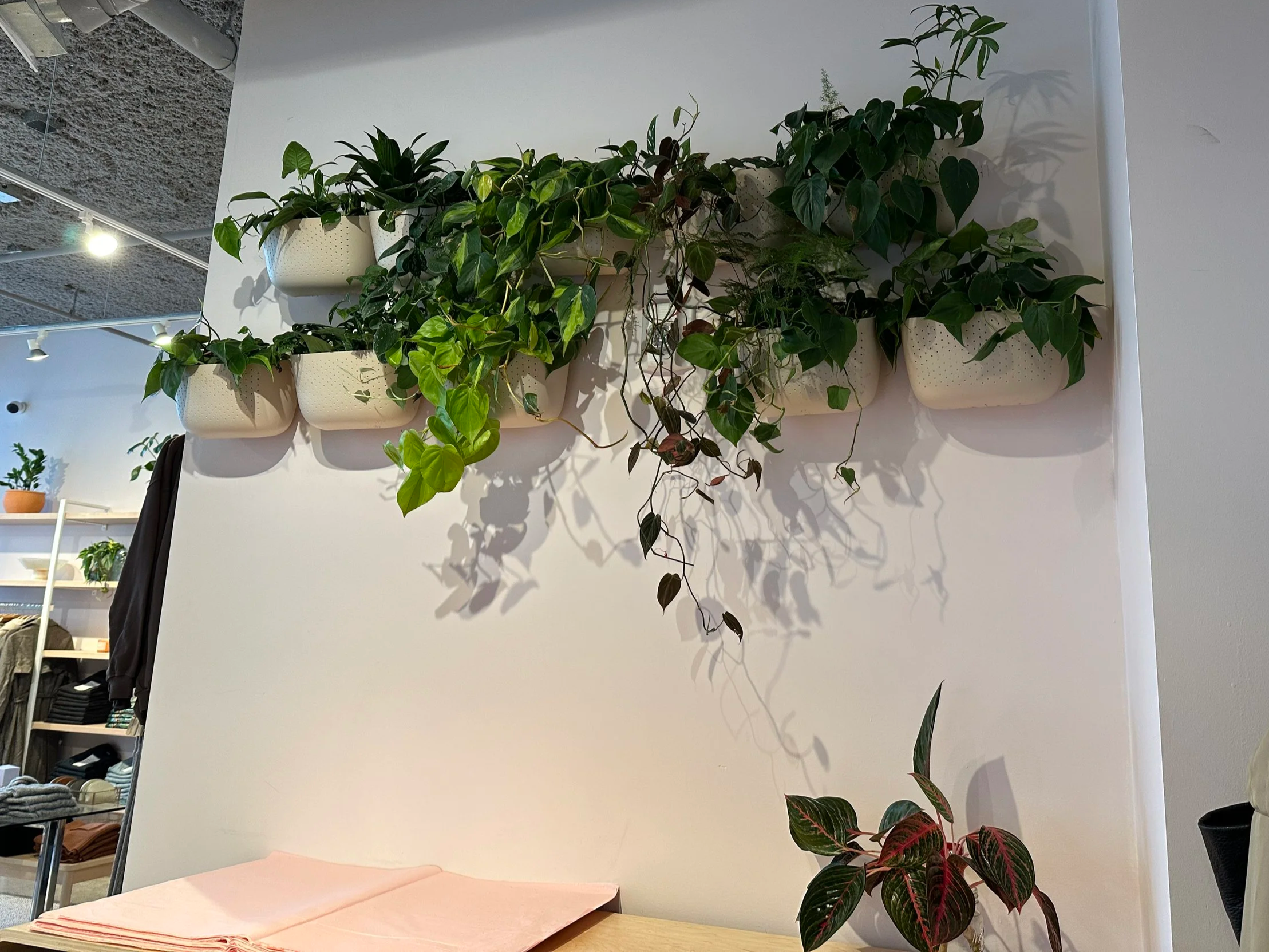 wall planter installation at adorn, a renowned retail boutique in Portland, OR.