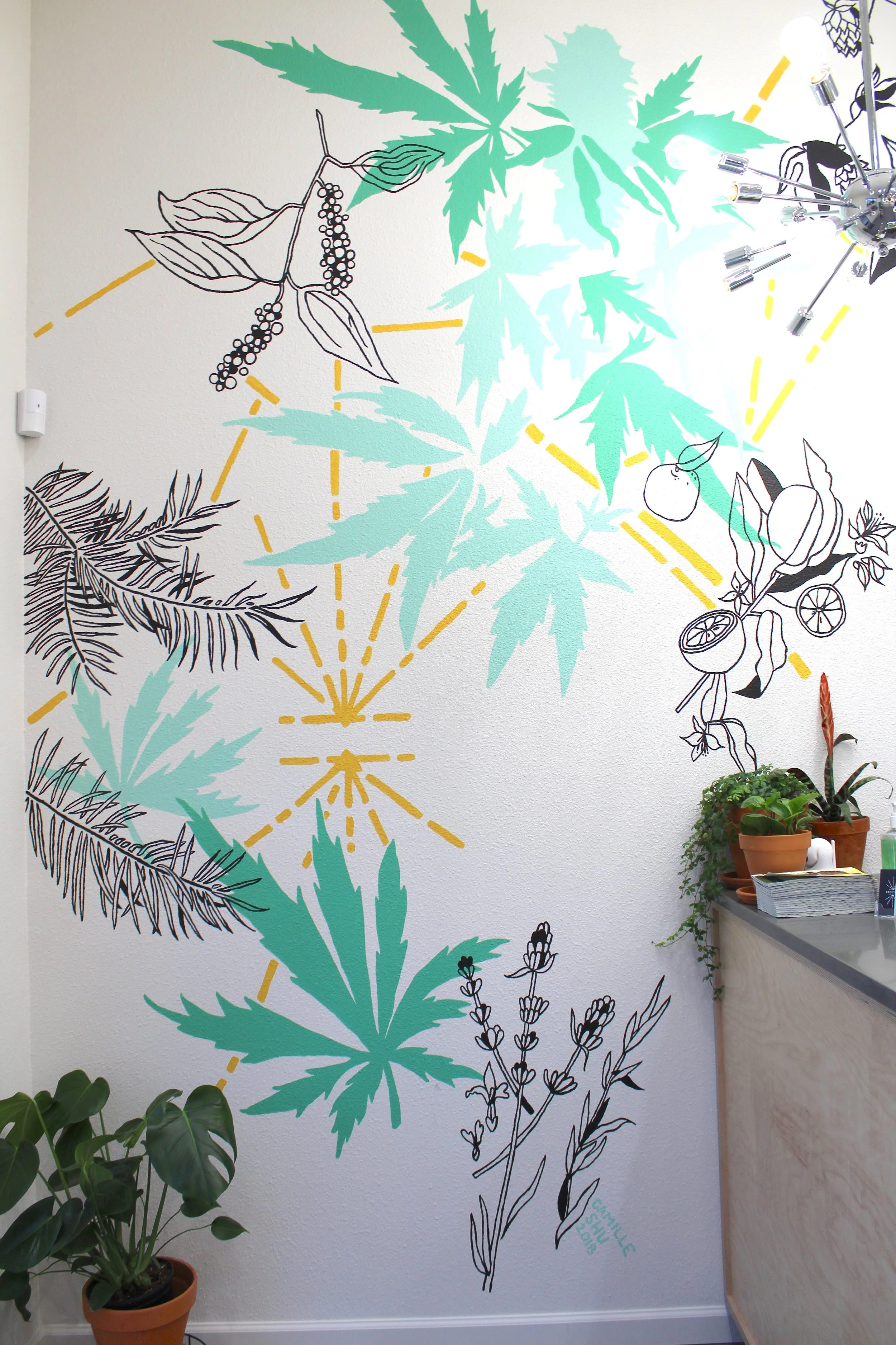 Treestar woodburn dispensary interior design7.JPG