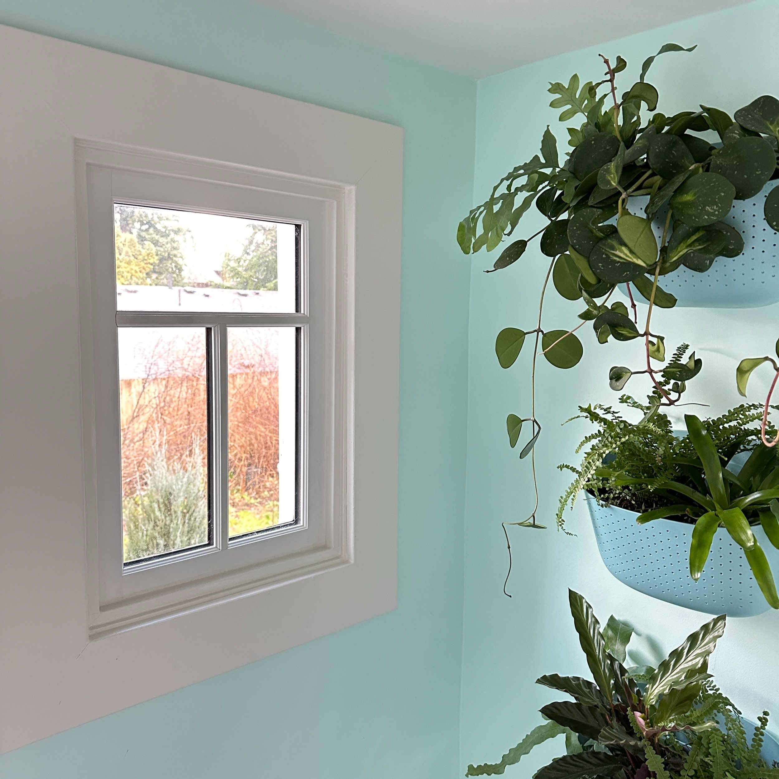 Plant+installs+MISC+-+142+of+152.jpg