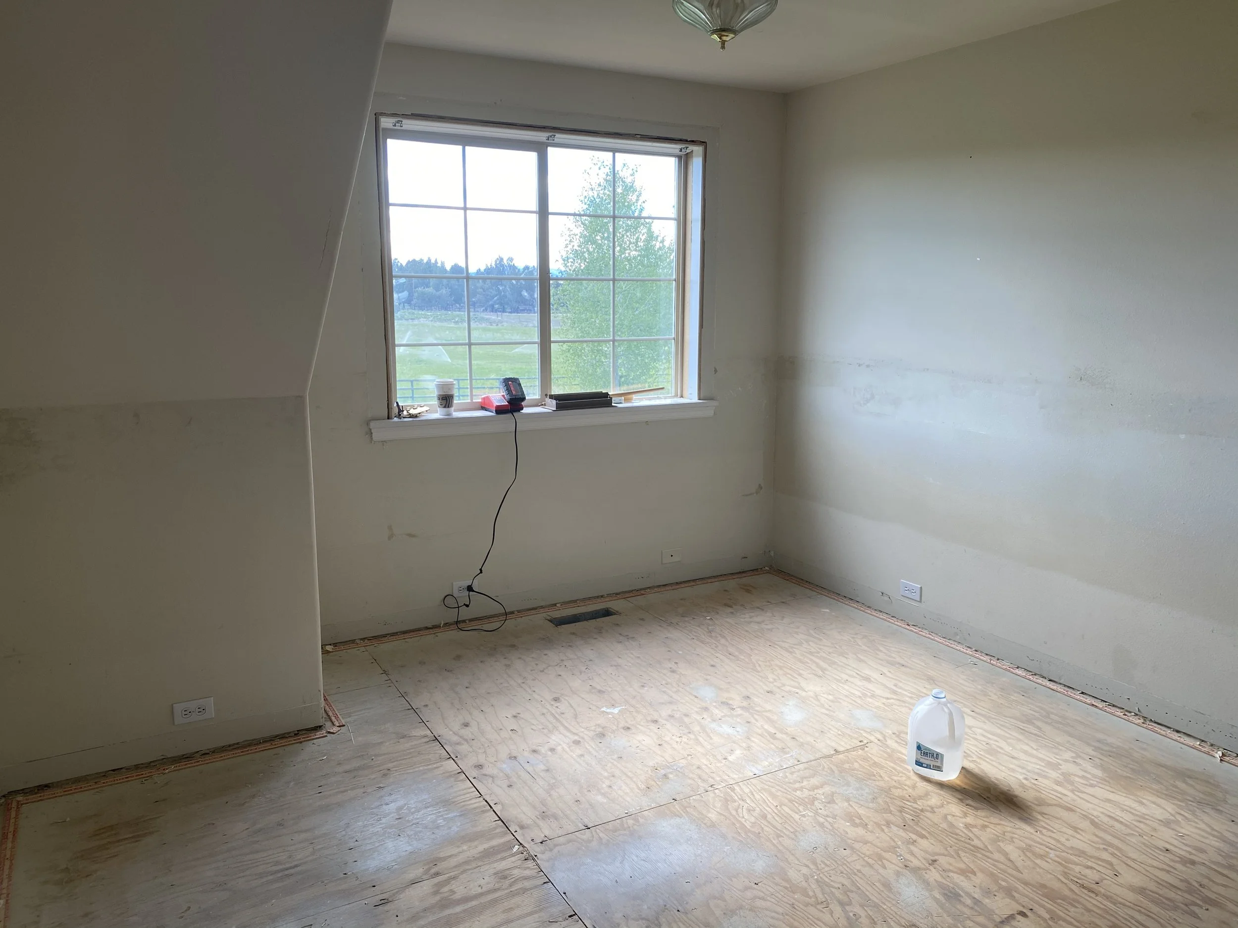 IMG_3275.jpeg