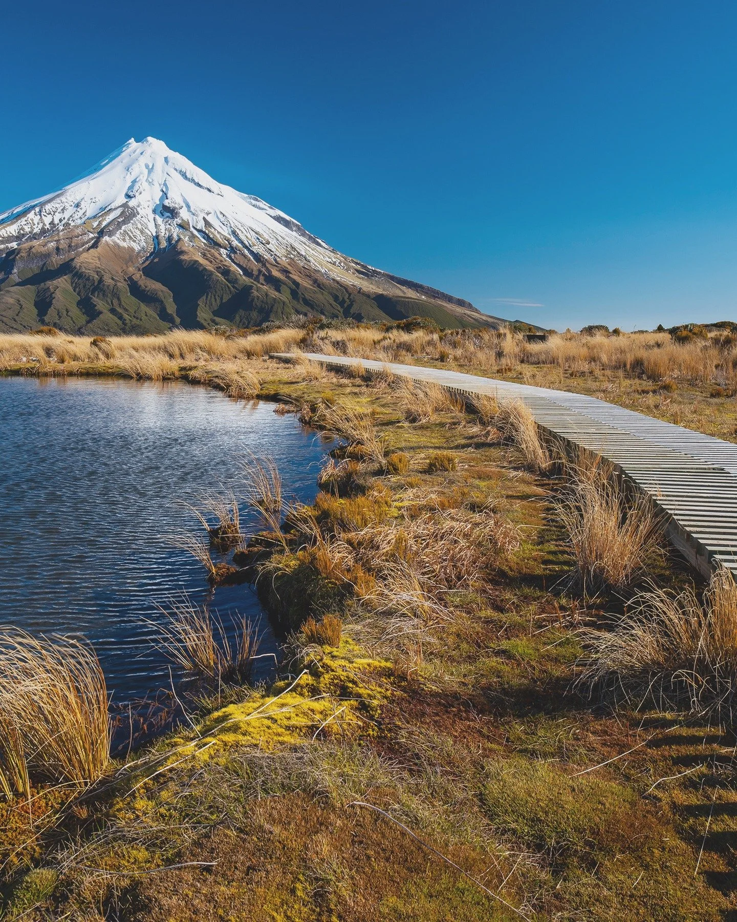 Made in NZ, for NZ

Procoat by Aalto is proudly made right here in NZ, designed for our unique climate. Whether you&rsquo;re a DIYer beginner or a seasoned pro, we have a trusted range of paints, stains and coatings that deliver guaranteed, long-last