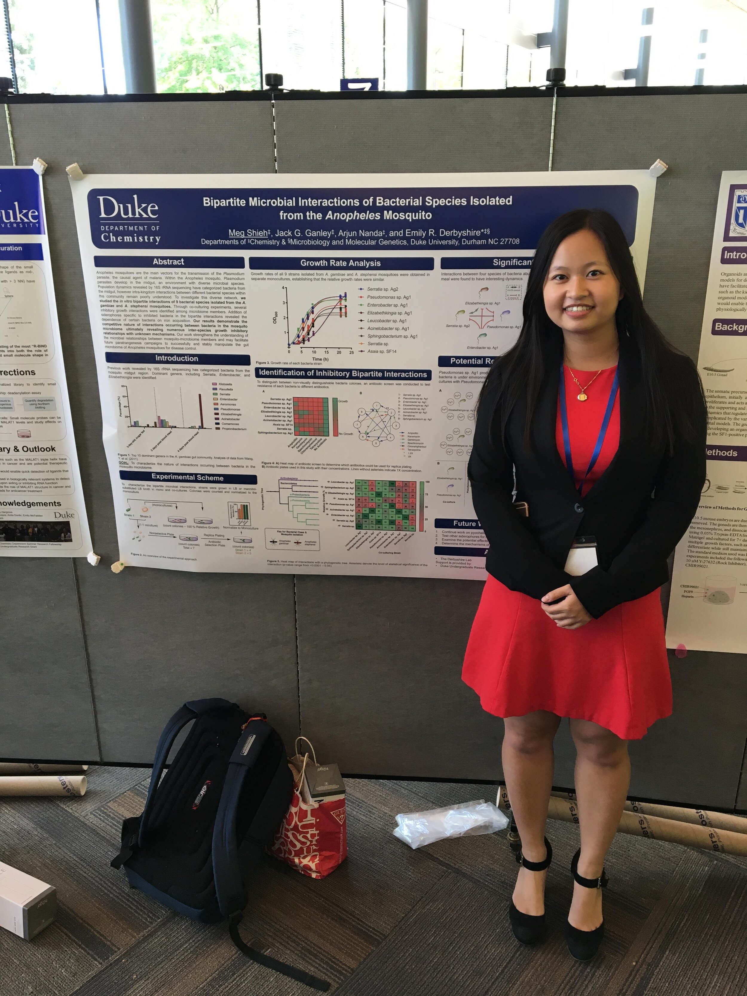 Meg's poster at Visible Thinking, Spring 2019 (Copy)