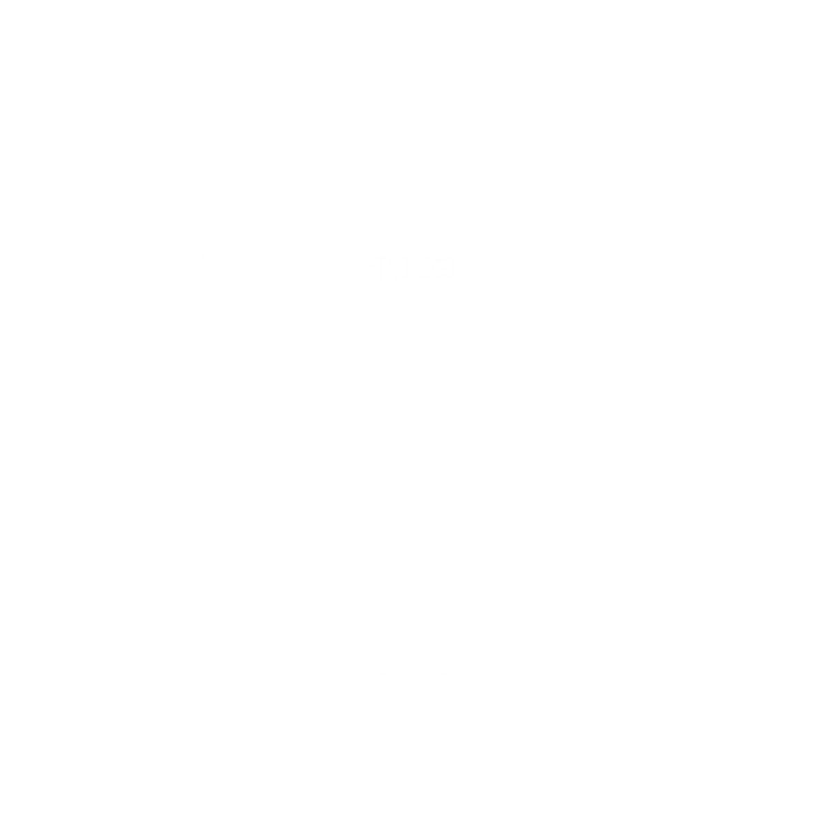 Embry-Riddle