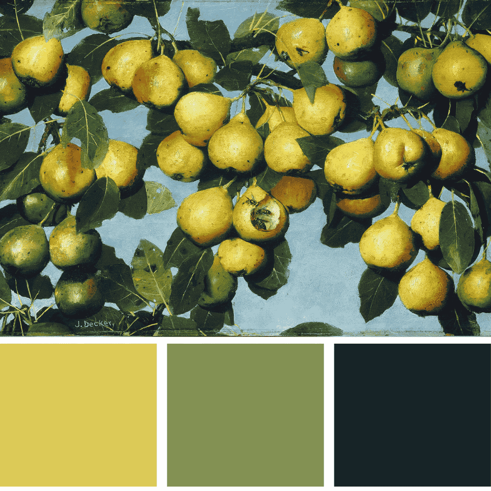 The fruits of summer