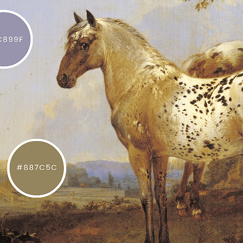 The Poetry of a Spotted Horse