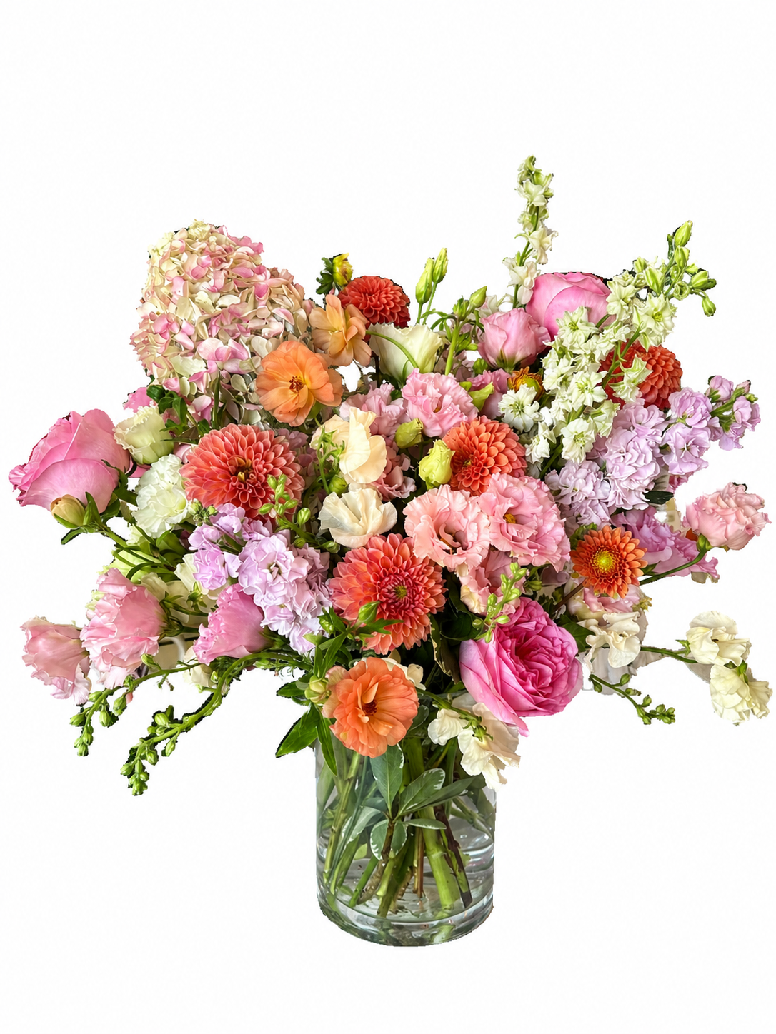 ChatGPT Image Sep 17, 2026 at 12_24_16 PM.png