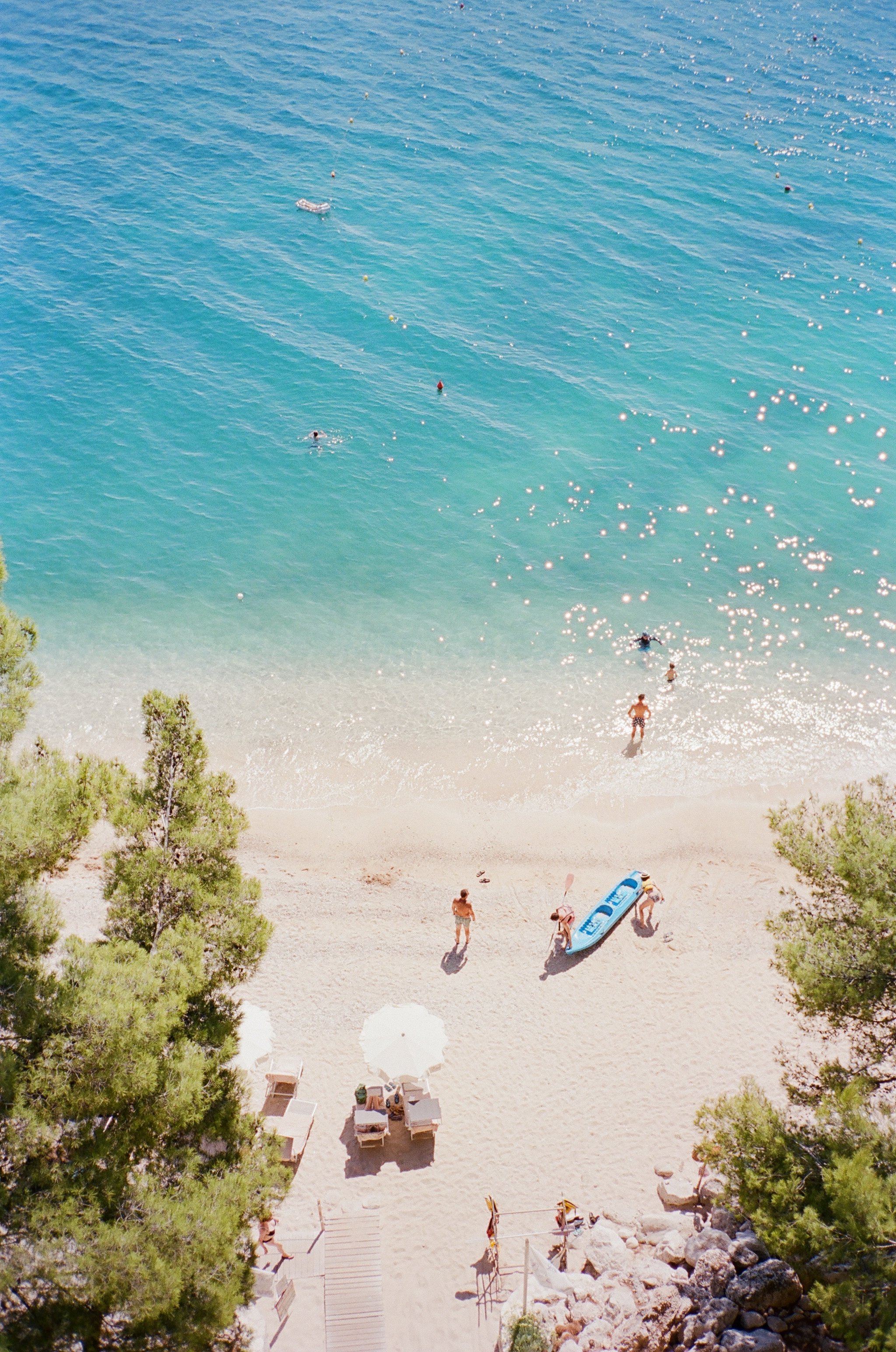 Beach in Bari, Italy, with clear turquoise water, people swimming, sunbathing on lounge chairs, and umbrellas. Pine trees border the sandy shore, with a blue paddleboard and rocks near the water.