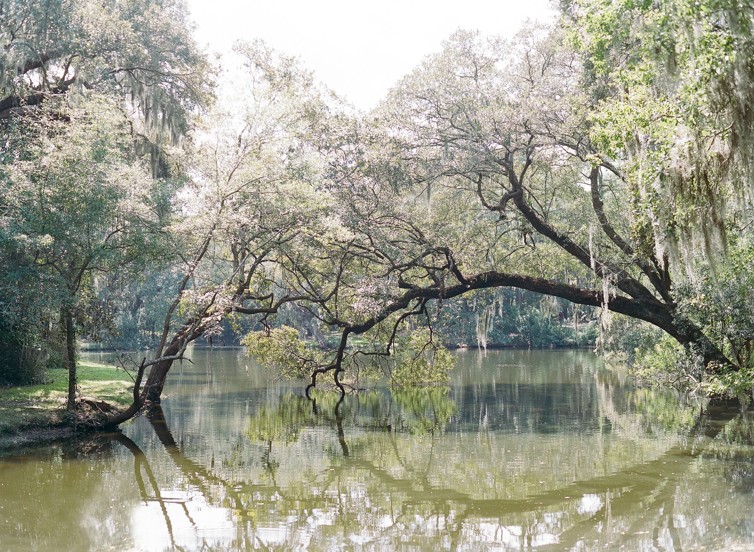 Best Charleston Wedding Venues for Film Photography