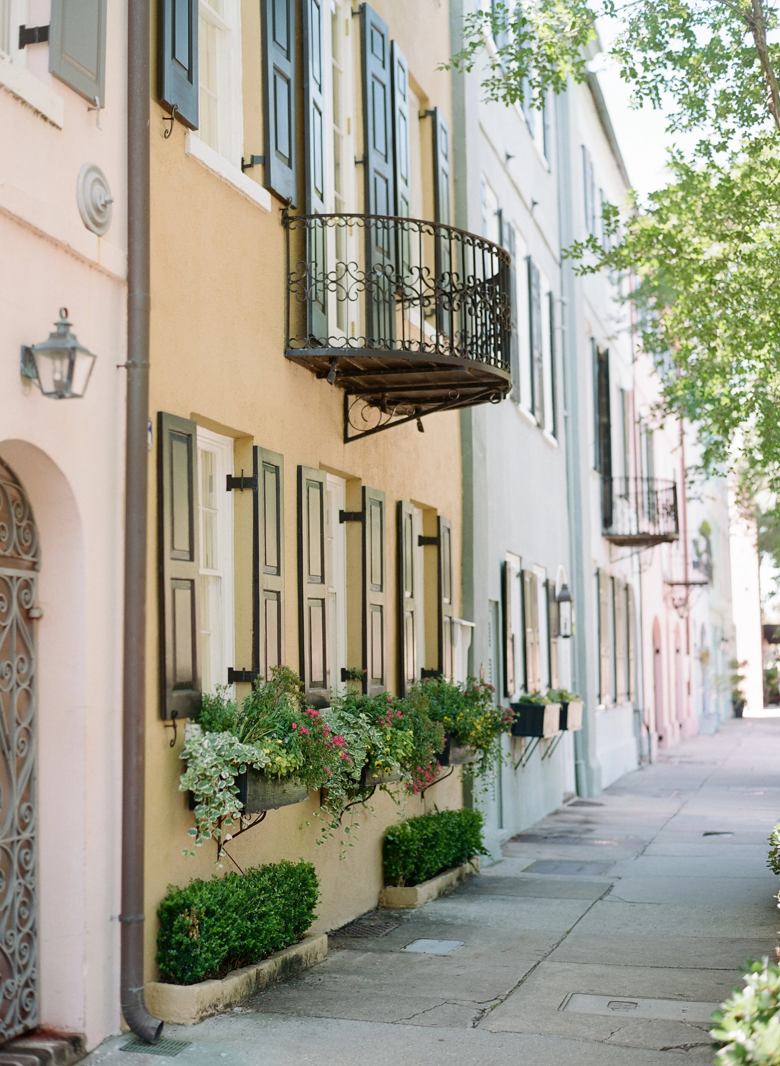 pastel historic homes on Rainbow Row in downtown Charleston South Carolina