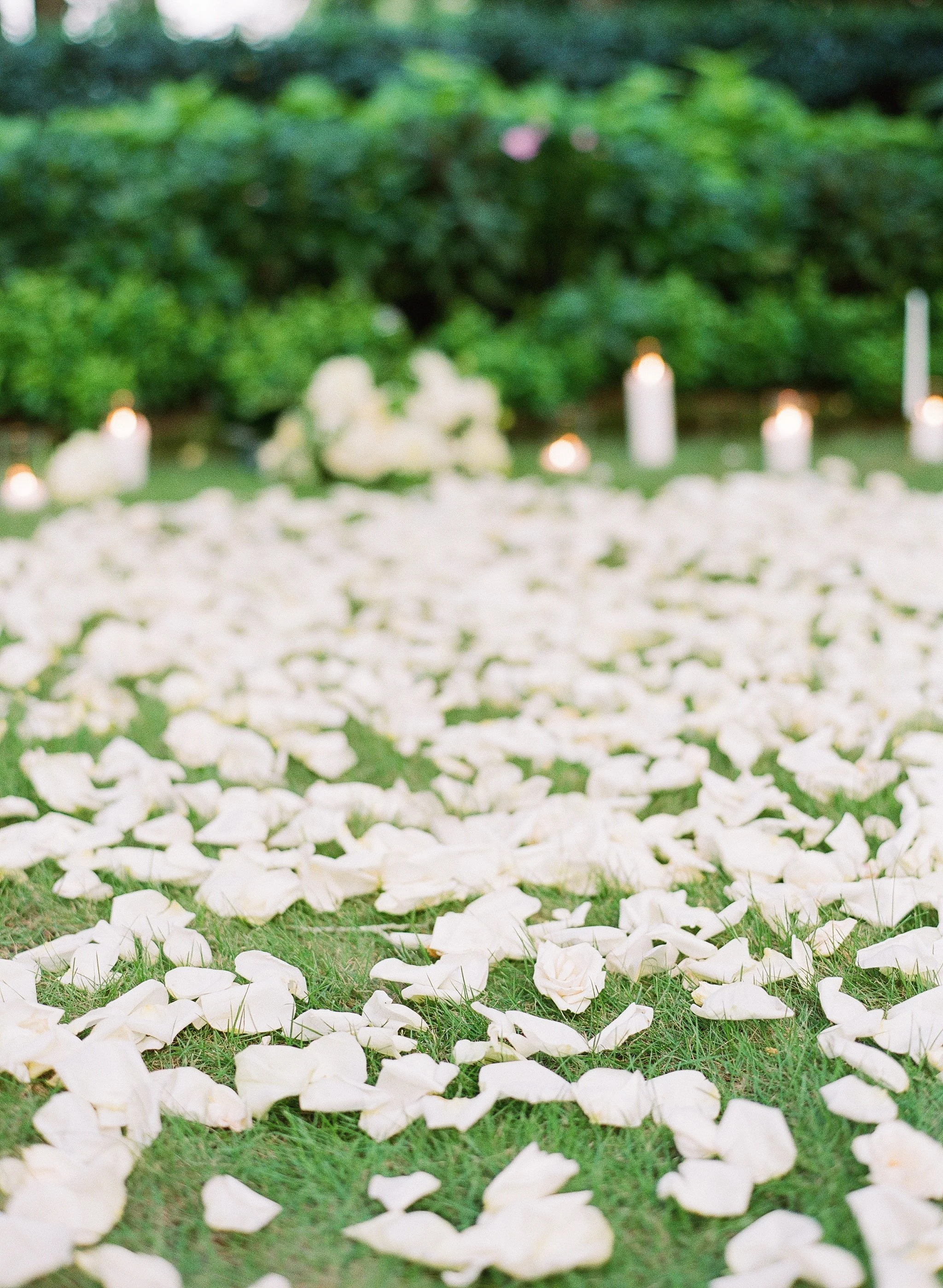 thomas-bennett-house-engagement-photographer-rose-petal-proposal.jpg