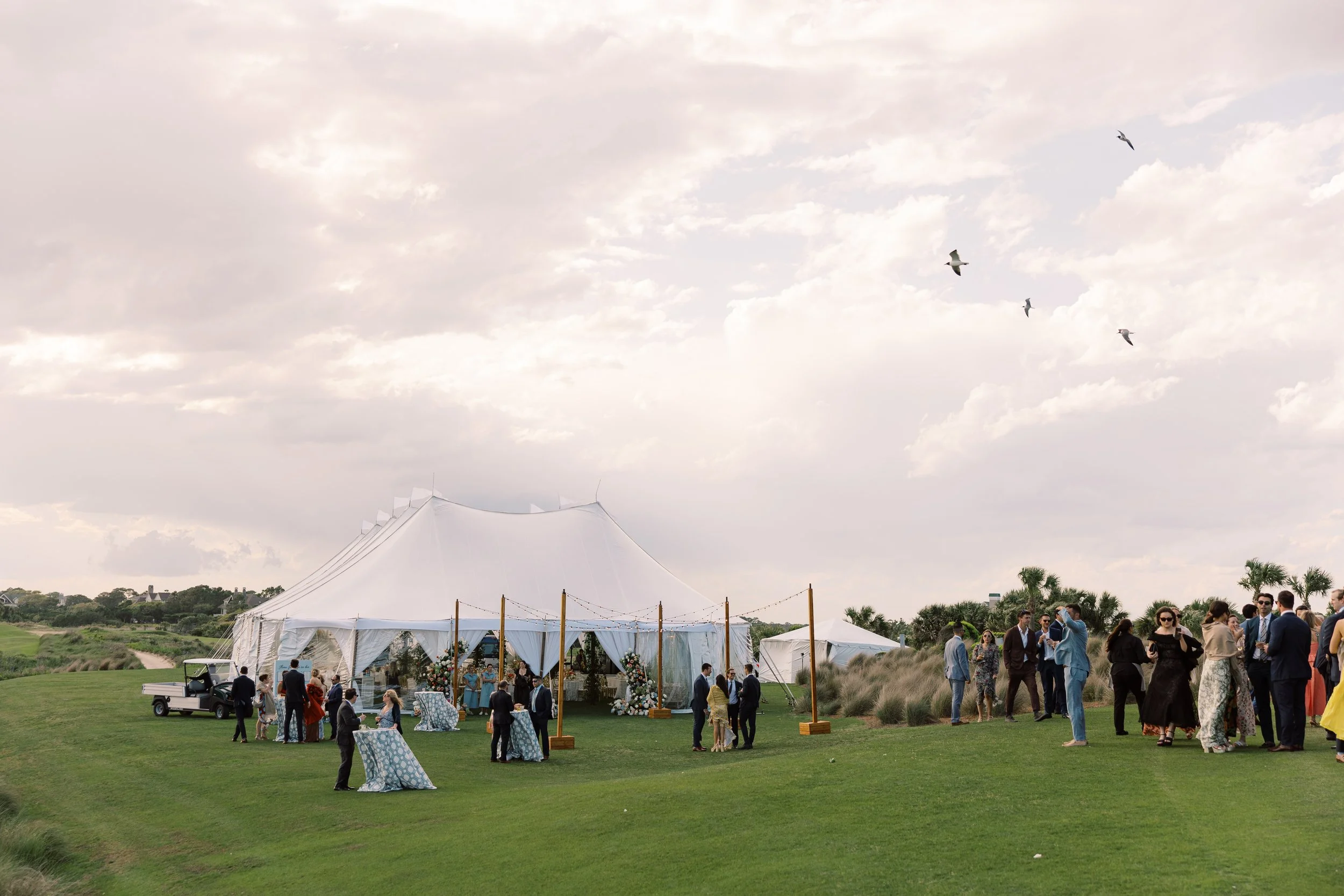 Outdoor wedding reception with a large white tent, guests in formal attire, and a grassy landscape with palm trees under a cloudy sky, some birds flying overhead.