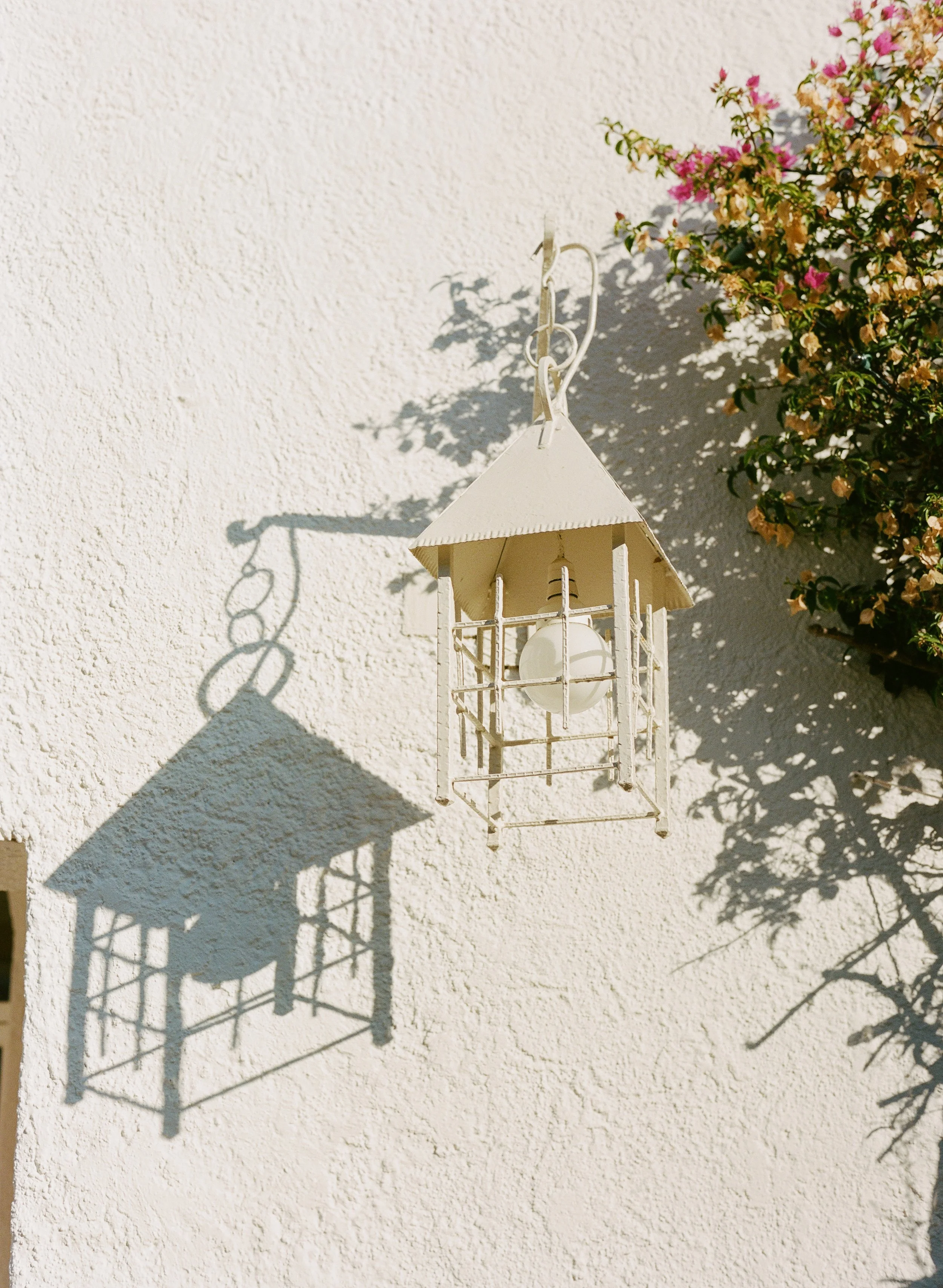 White lantern hanging on a textured cream-colored wall with a pink flowering bush in the background and sunlight casting shadows.