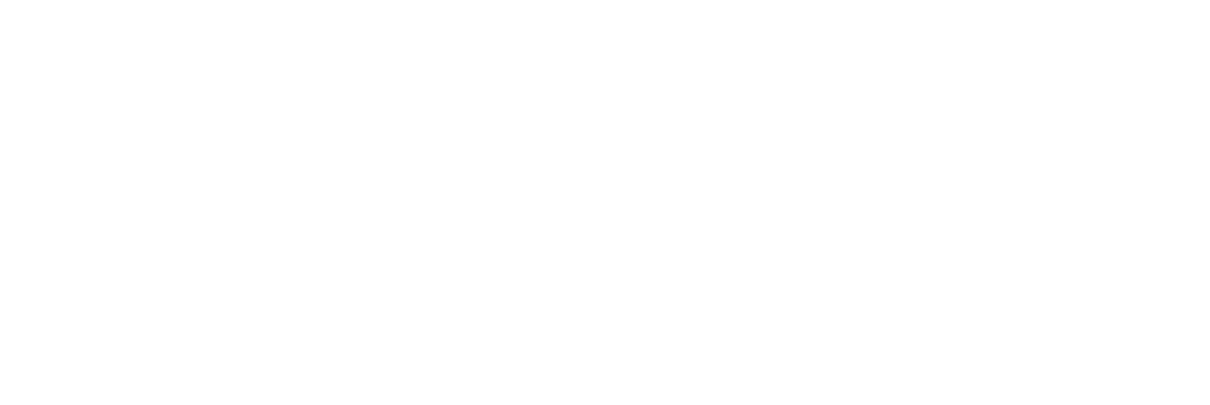 Logo for Lauren Jonas Charleston fine art film wedding photographer