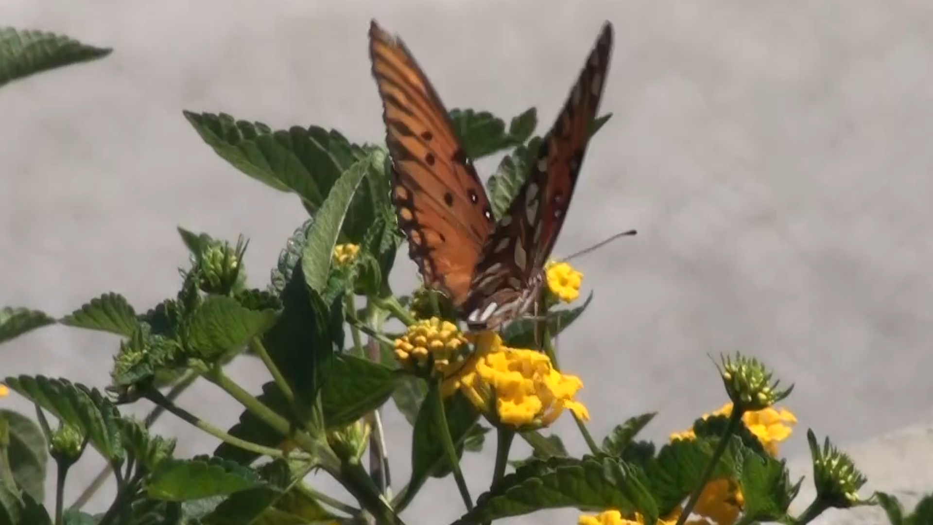 time for mne toly.png